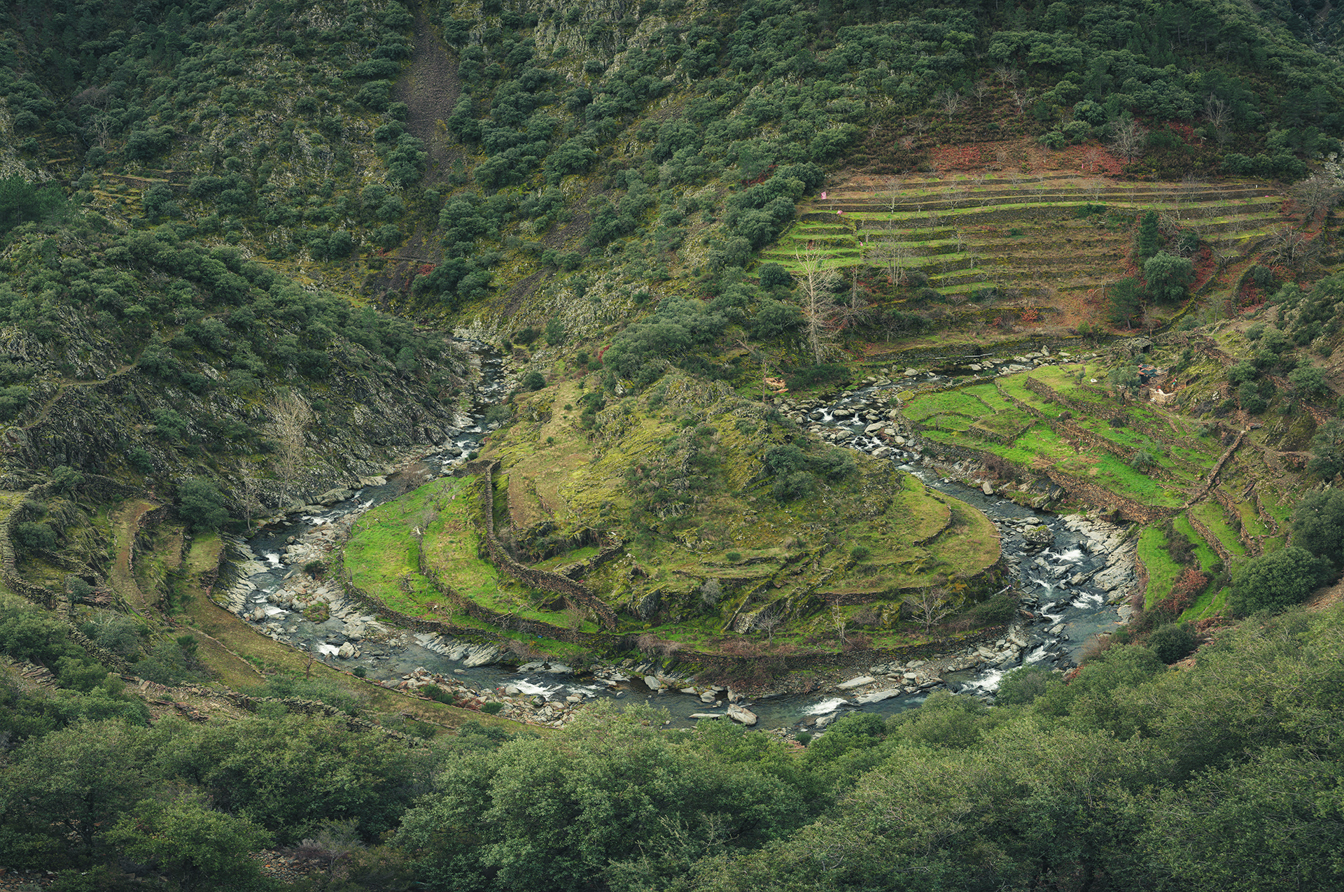 El Gasco