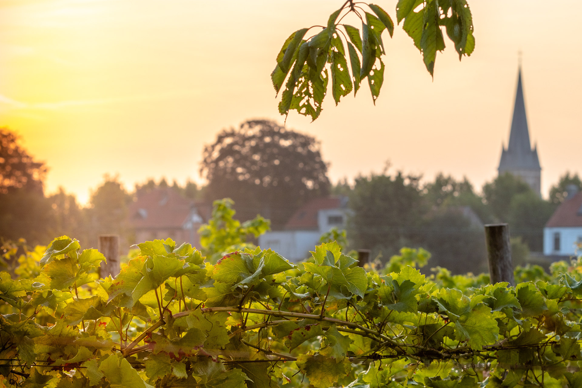 Zonsopgang Mariaburg