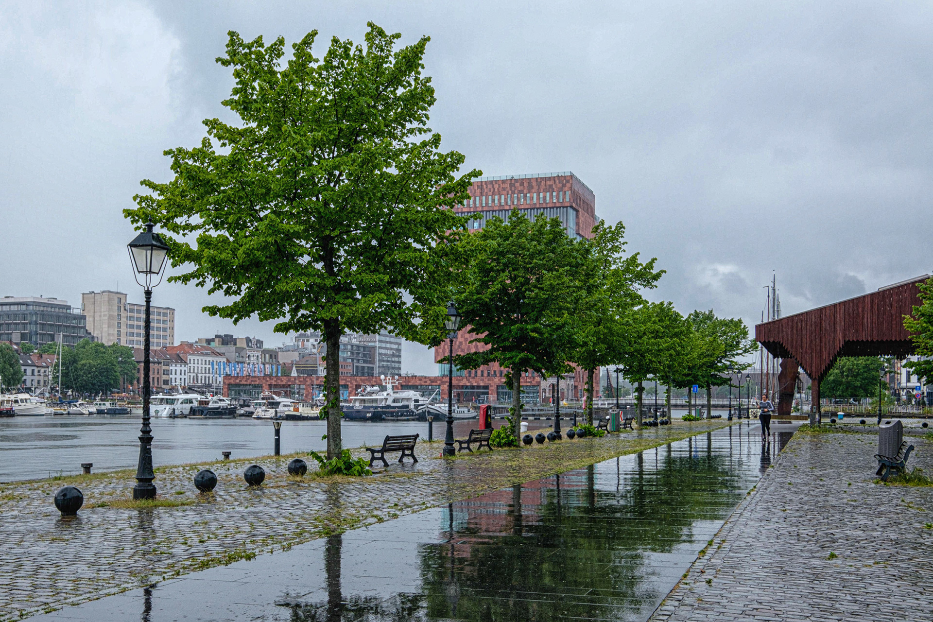 Aan het MAS op het Eilandje