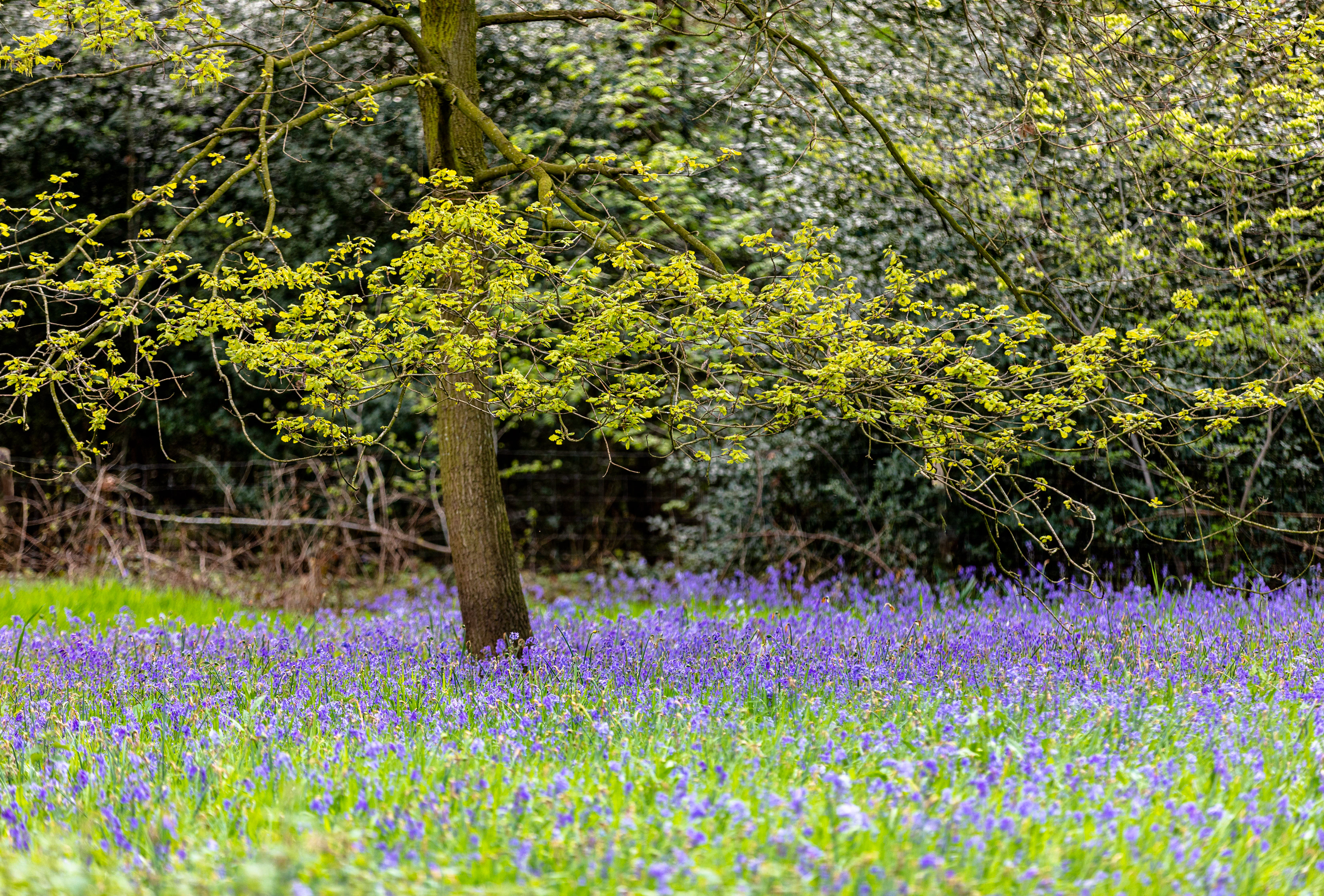Reigersbos Berendrecht
