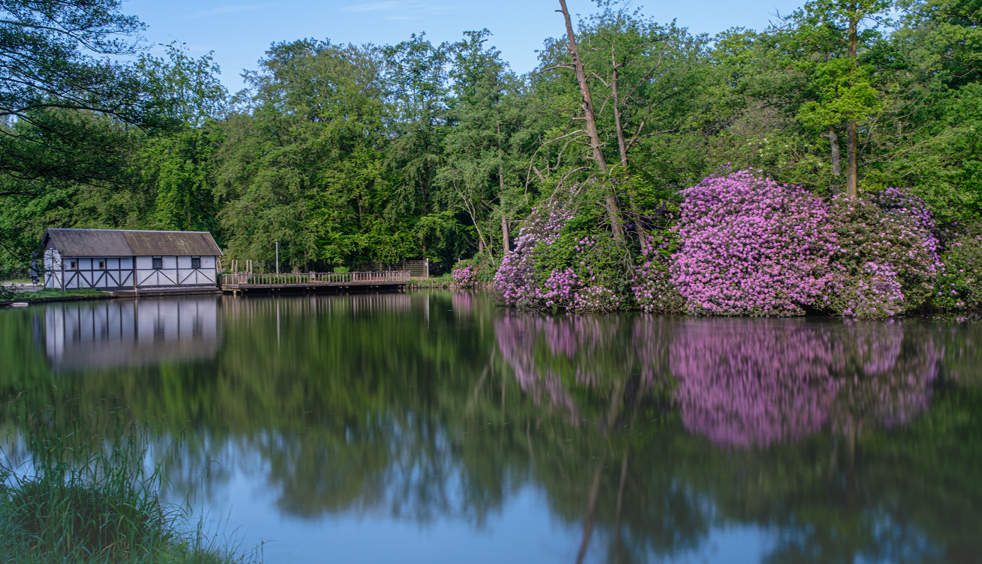 Boothuisje aan de vijver