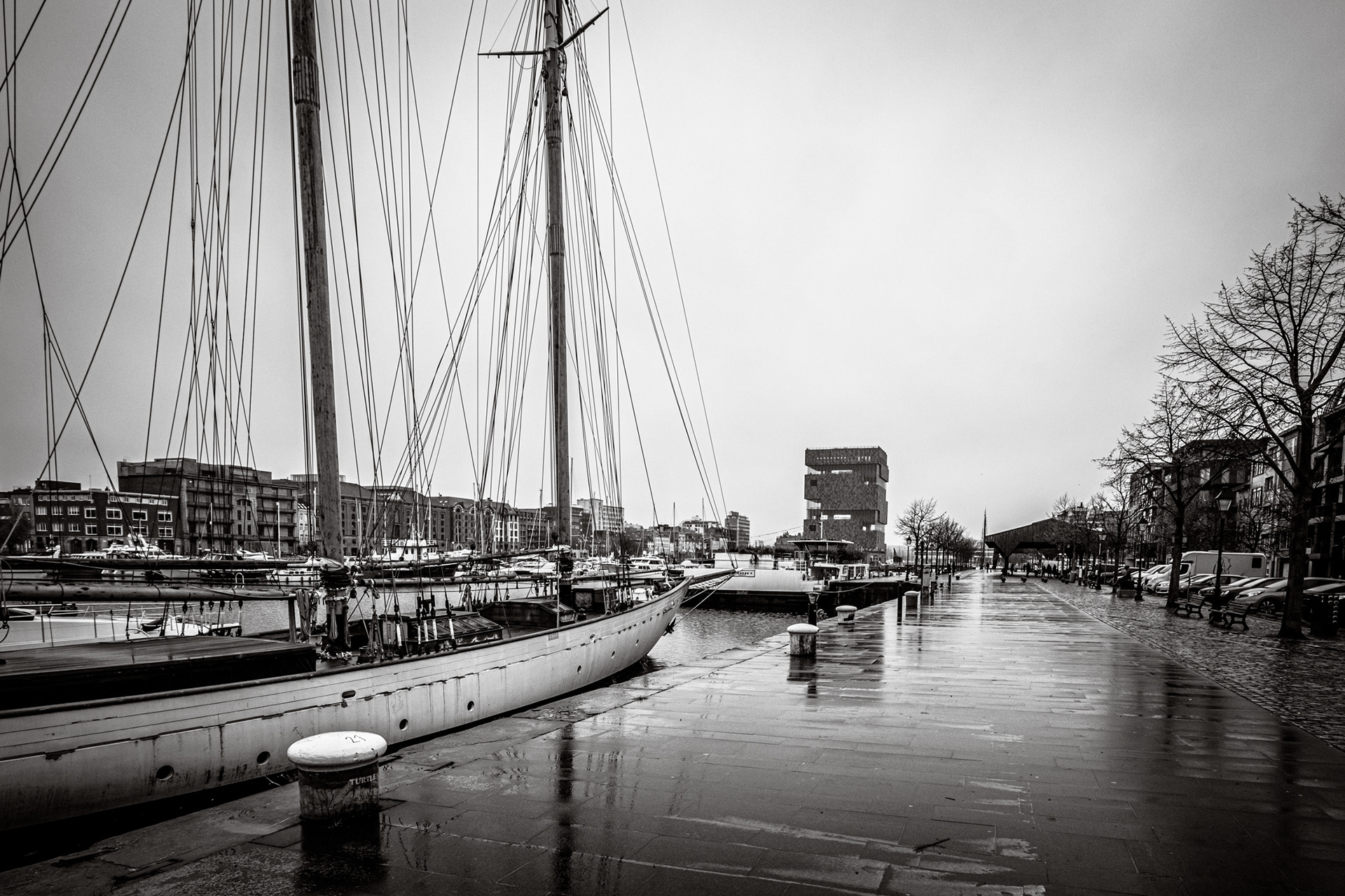 Willemdok aan het MAS