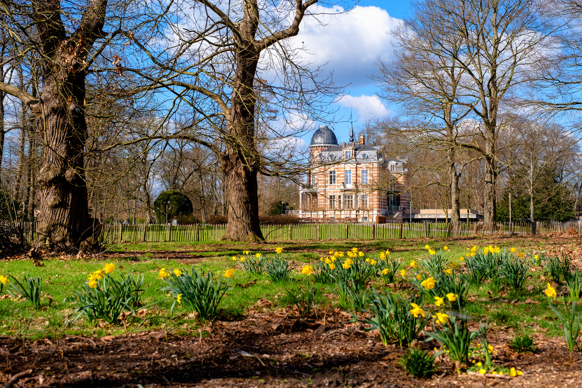 Lente park van Brasschaat