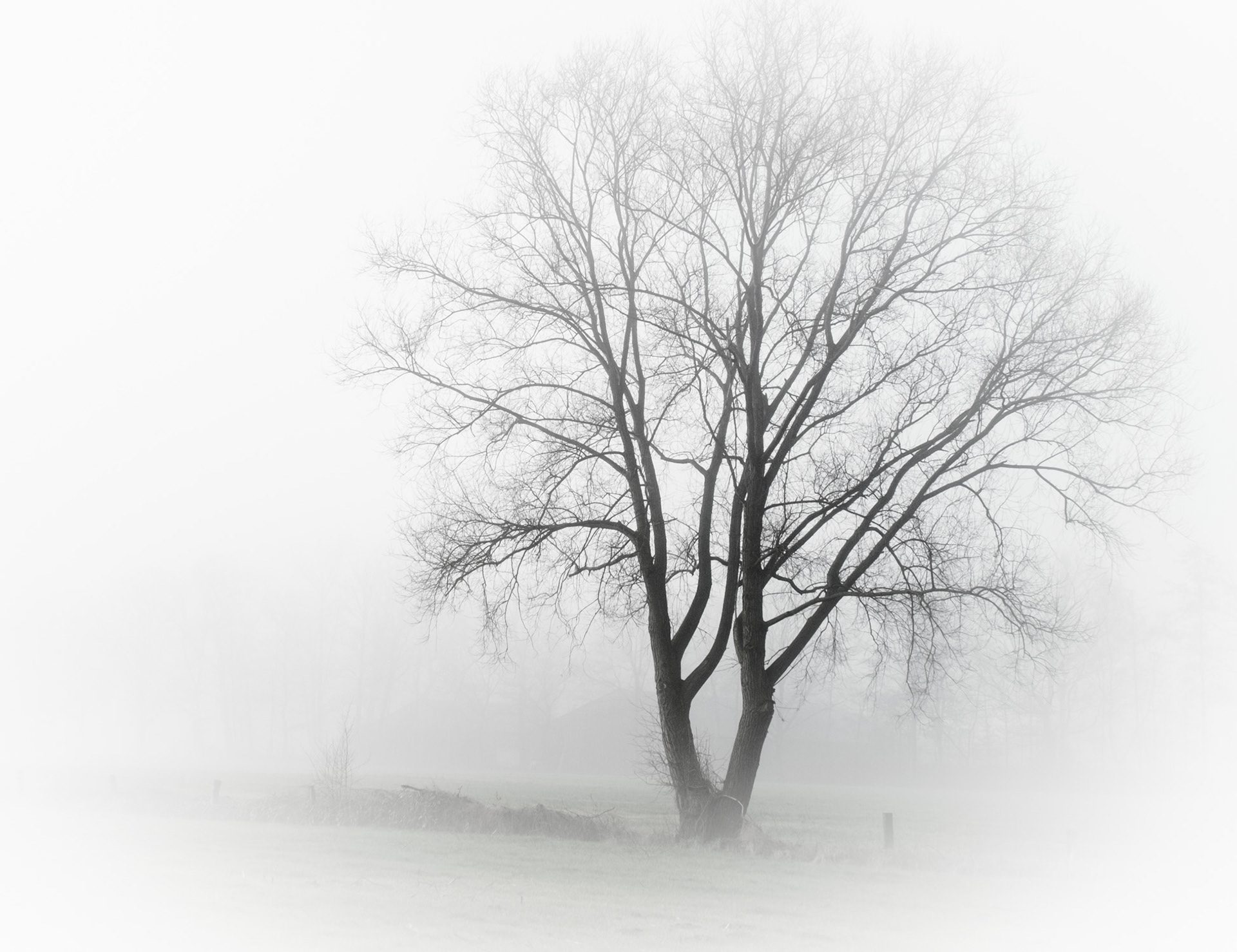 Brusselse Bossen (Kattekesberg)