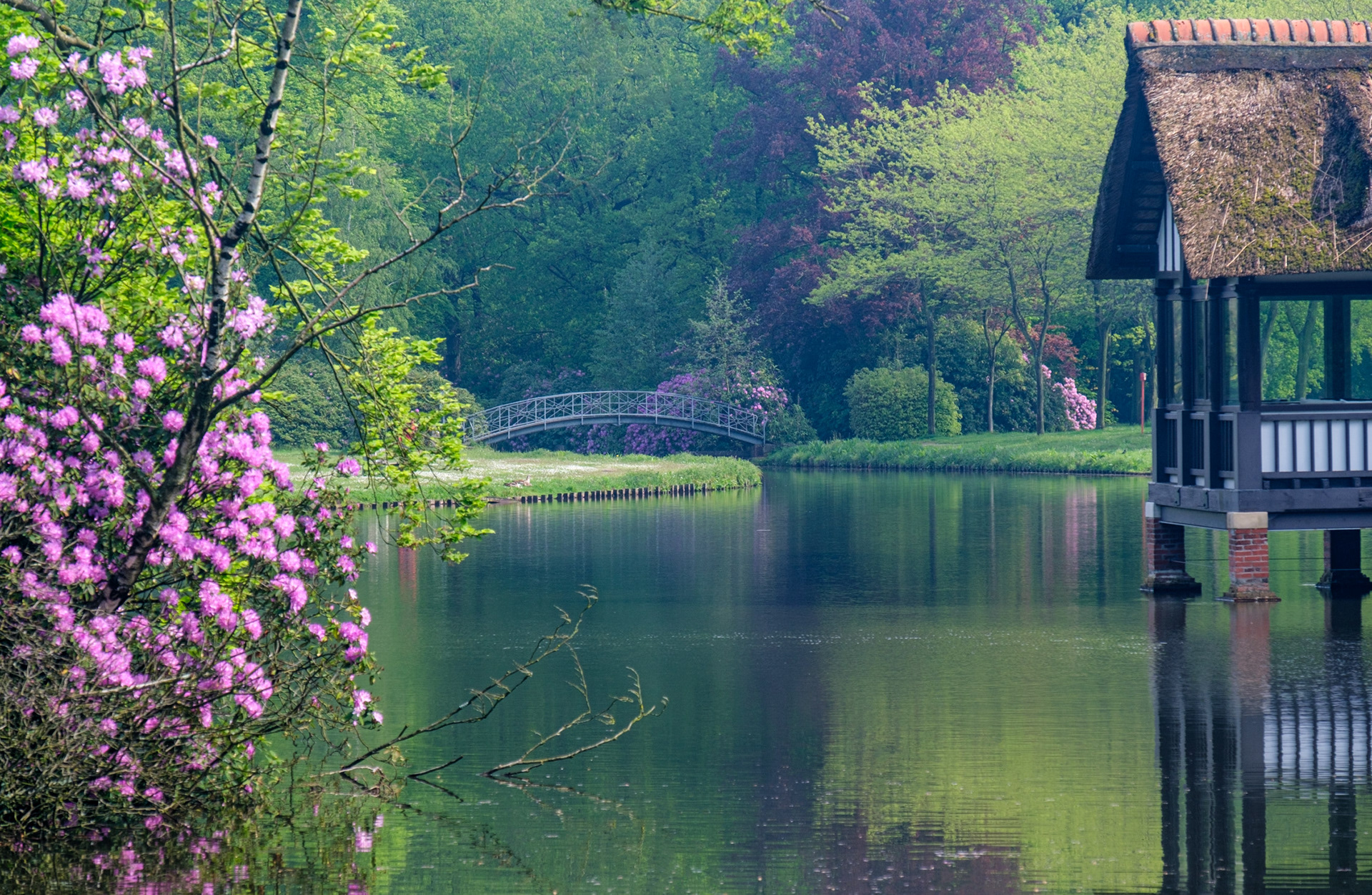 Lente in het Park van Brasschaat