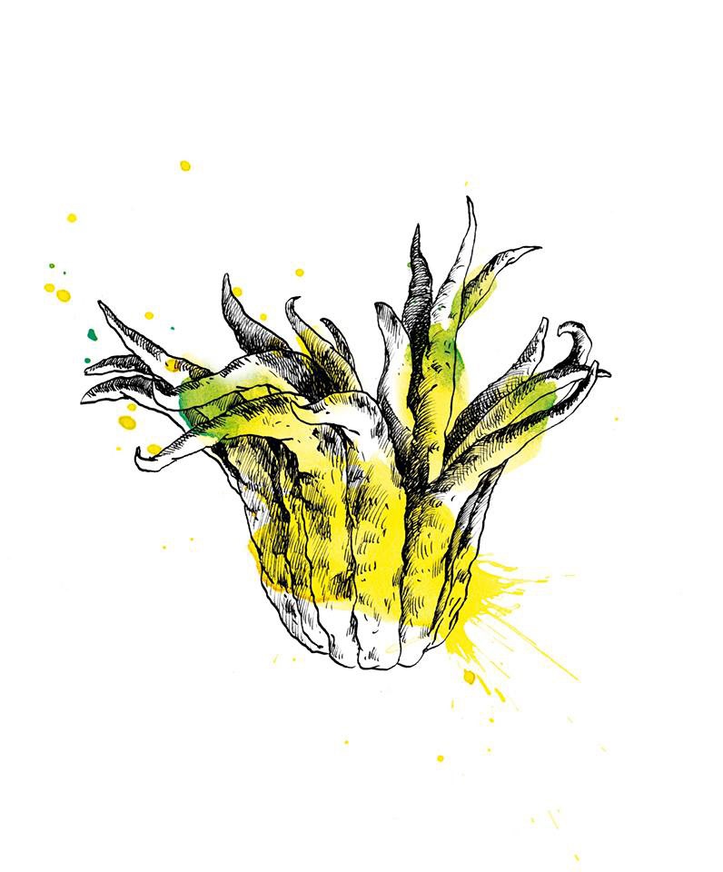 Le Comptoir des Producteurs | Rungis