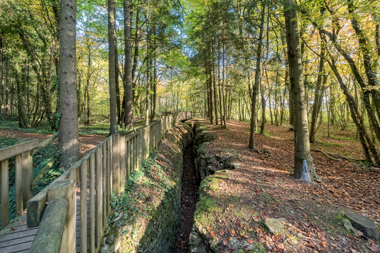 Tranchées de Bois Brulés (55)