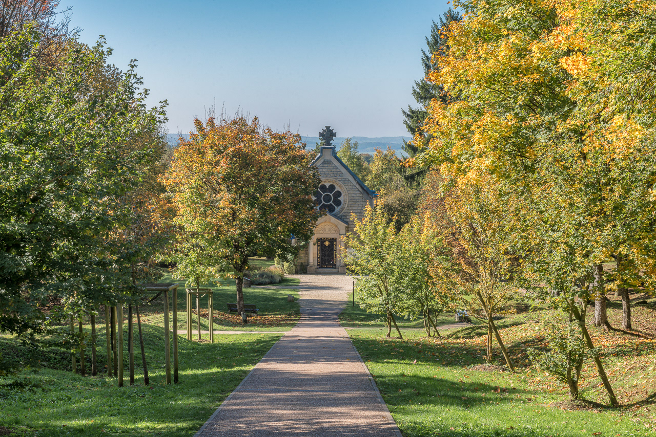 Chapelle de Fleury (55)