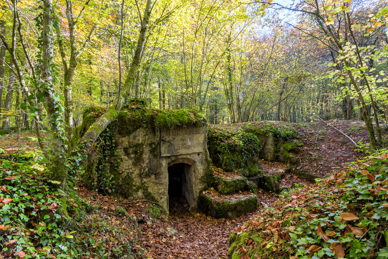 Tranchées de Bois Brulés (55)
