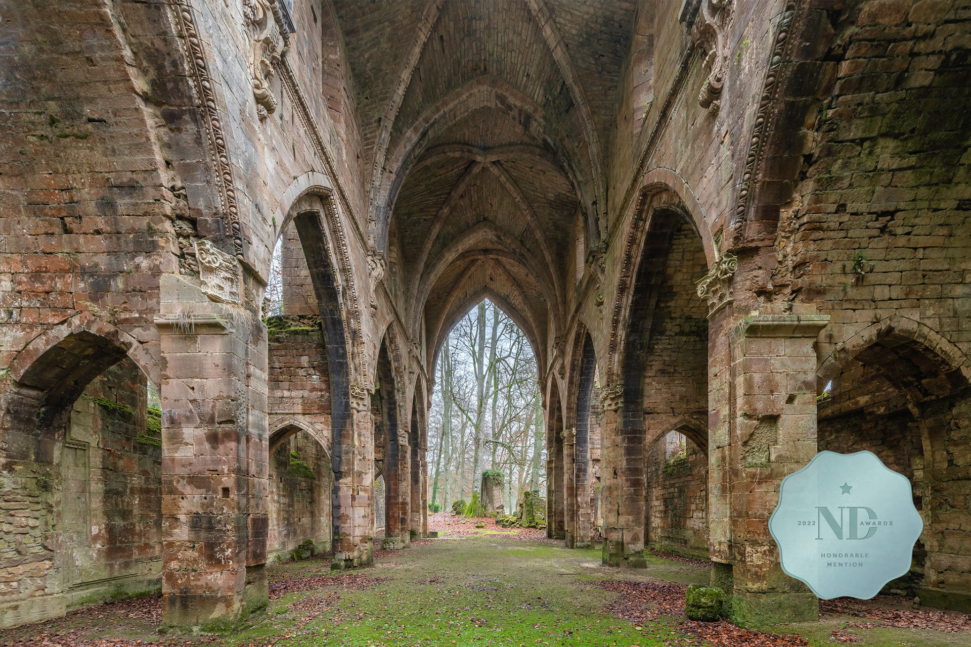 Debout les ruines / L'Indifférence Series - Abandoned Abbey, France