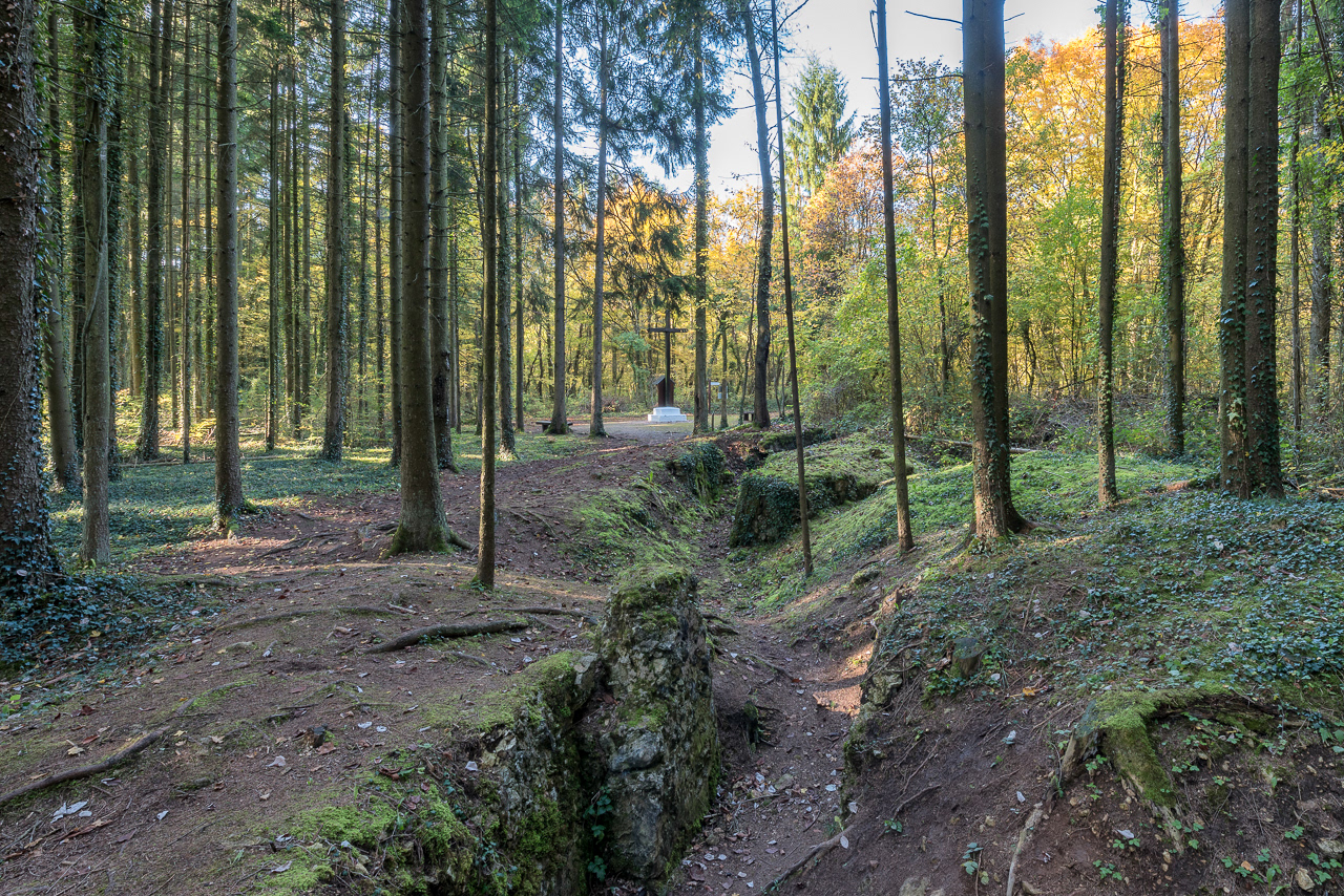 Tranchées de Bois Brulés (55)
