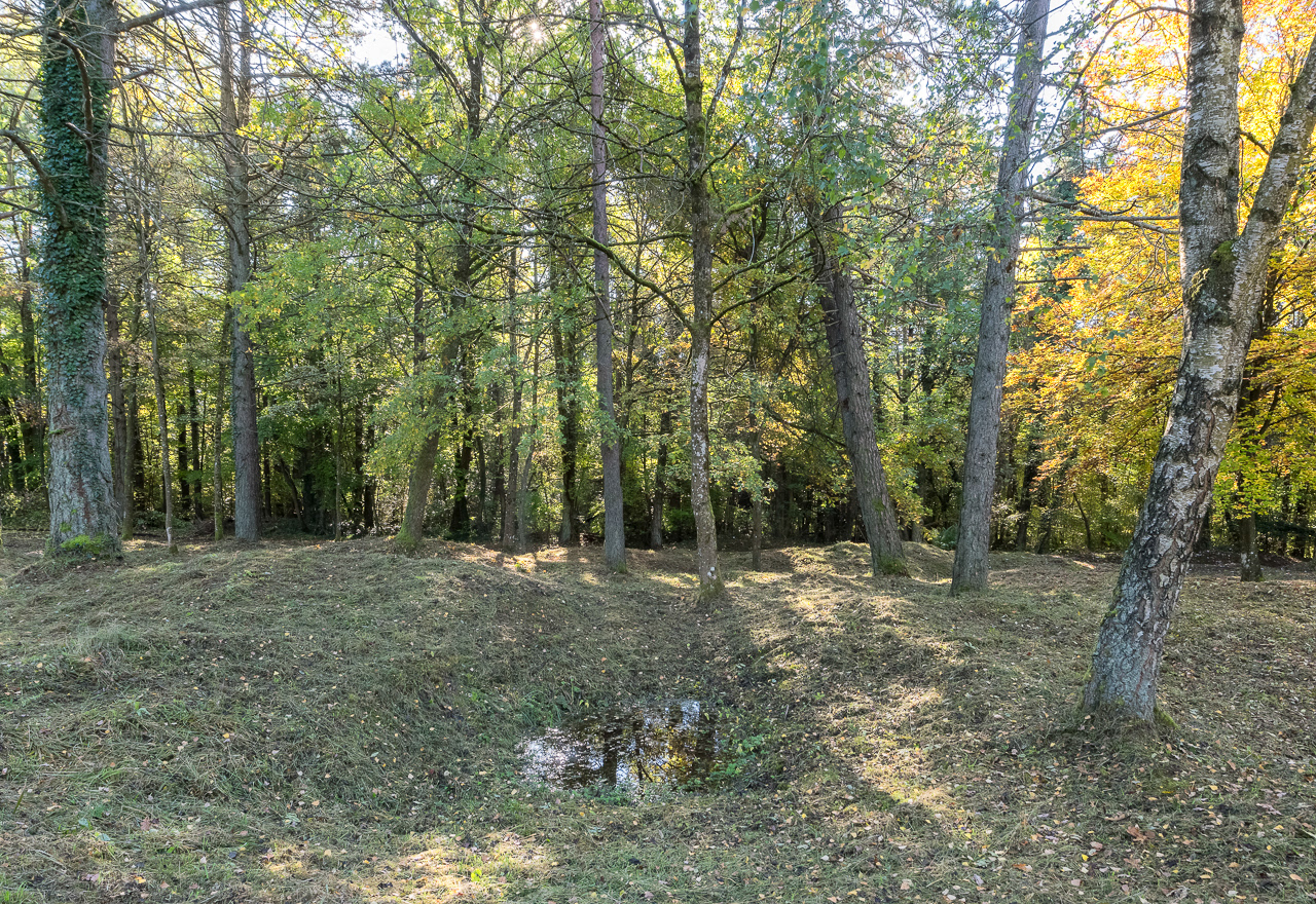 Champs d'obus de Douaumont (55)