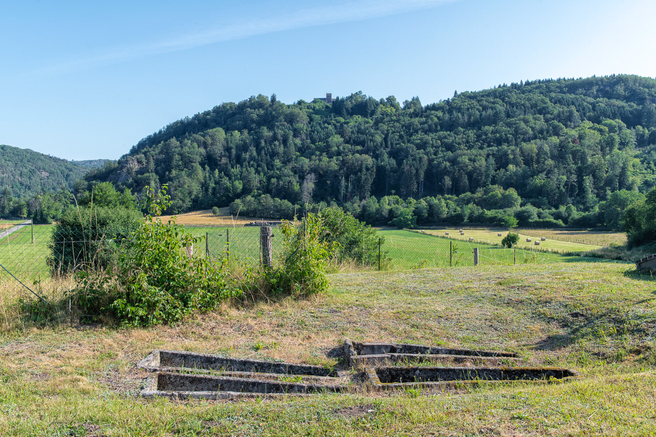 Vue sur l'église Saint-Martin de Faucogney-et-la-Mer depuis les vestige de l'ancien monastère Saint-Colomban