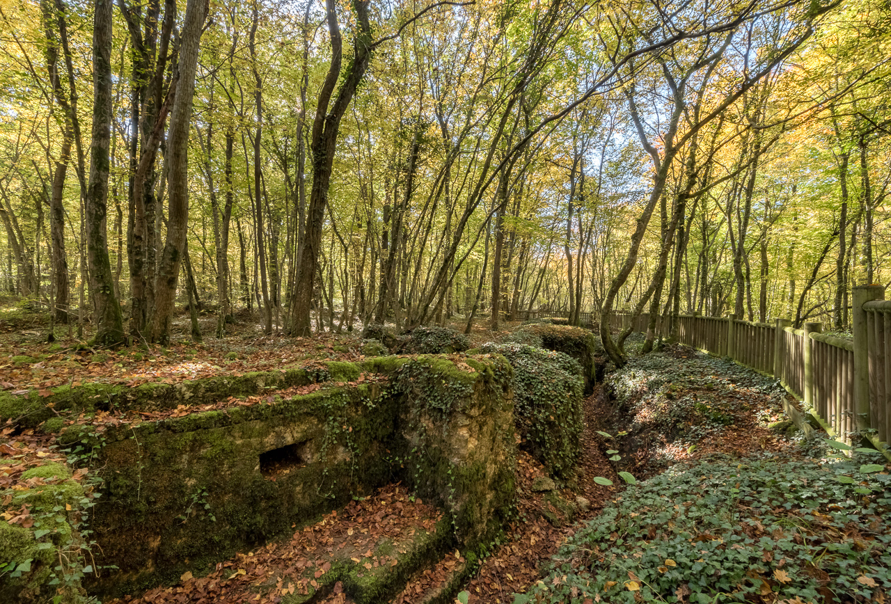 Tranchées de Bois Brulés (55)