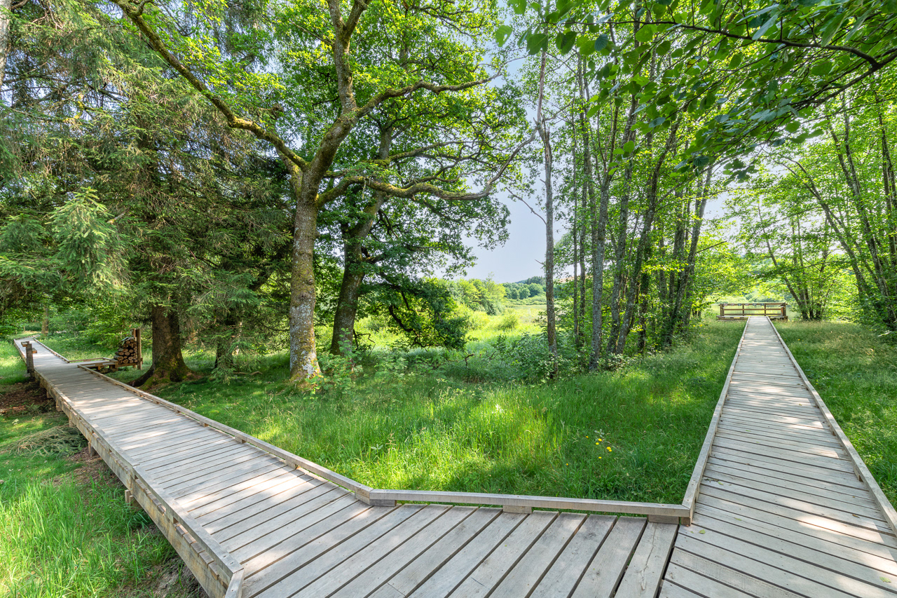 Parcours découverte - Étang Taureau - Saint-Brisson