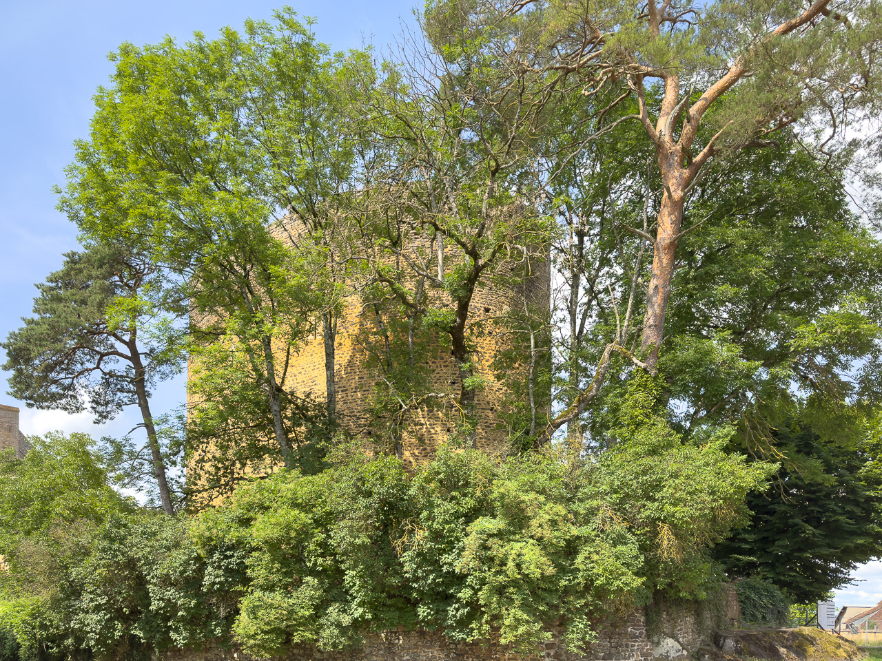Tour Sarrasine à Saint-Sauveur-en-Puisaye