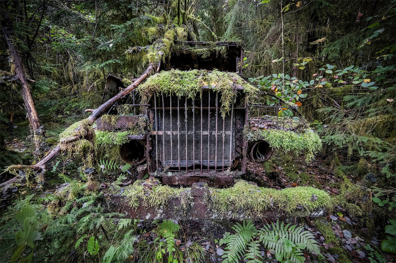 L'Apiculteur / Car Graveyard, France