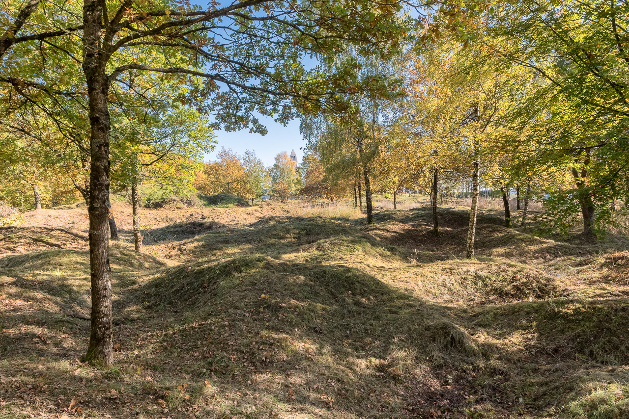 Champs d'obus de Douaumont (55)