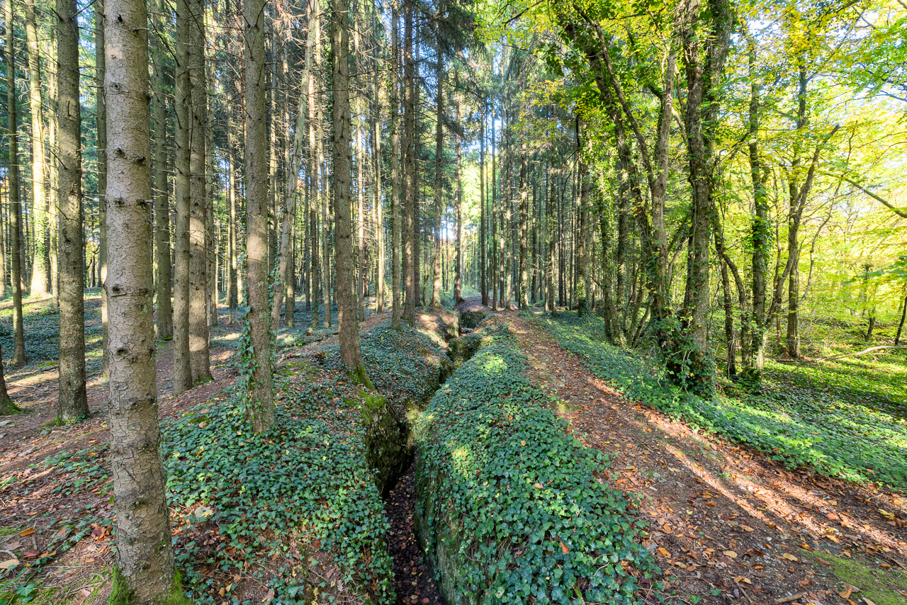 Tranchées de Bois Brulés (55)