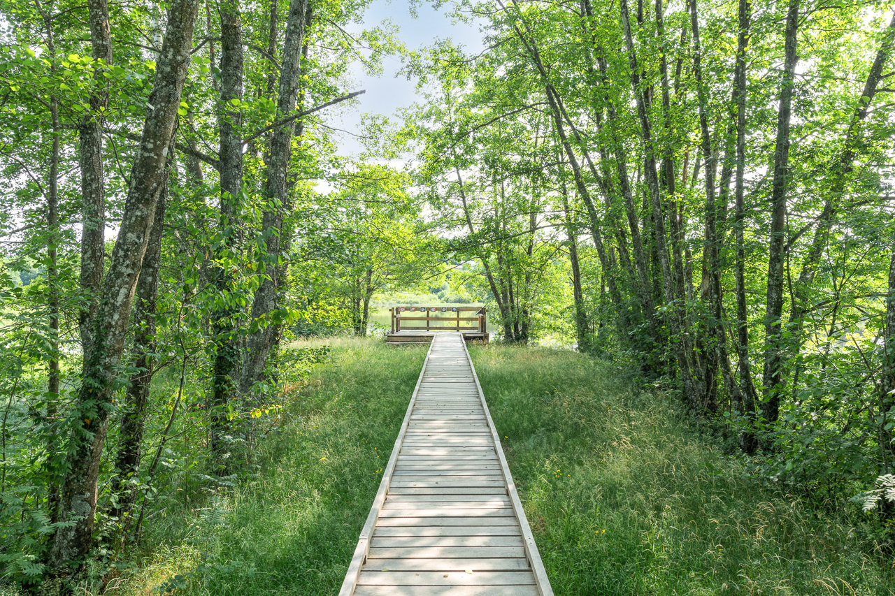 Parcours découverte - Étang Taureau - Saint-Brisson