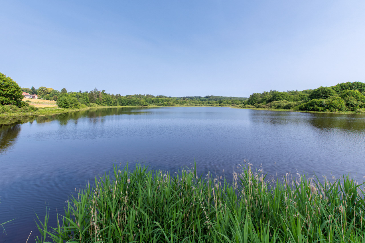 Étang Taureau - Saint Brisson - (À gauche, la maison du Parc Naturel Régional du Morvan)