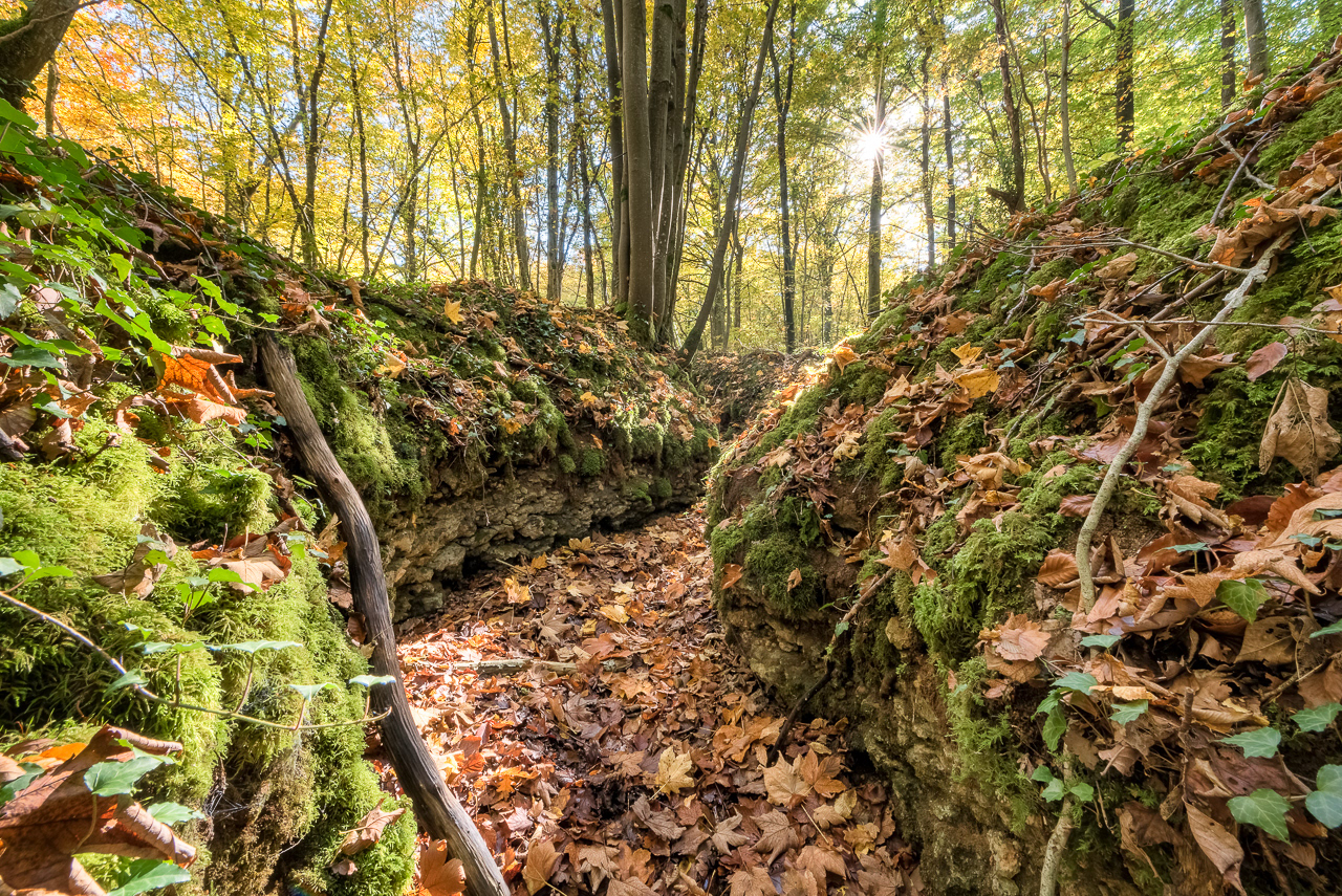 Tranchées de Bois Brulés (55)