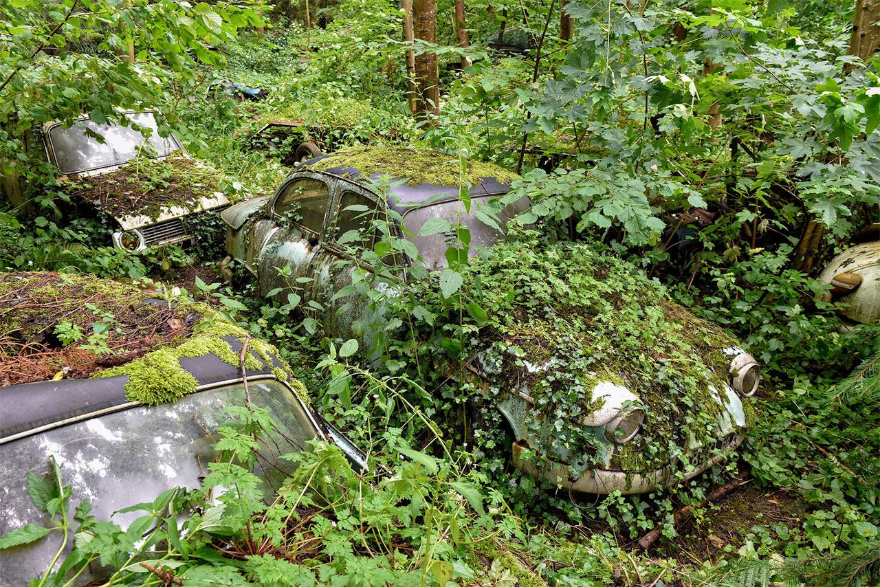 The Green Traffic Jam / Car Graveyard, France