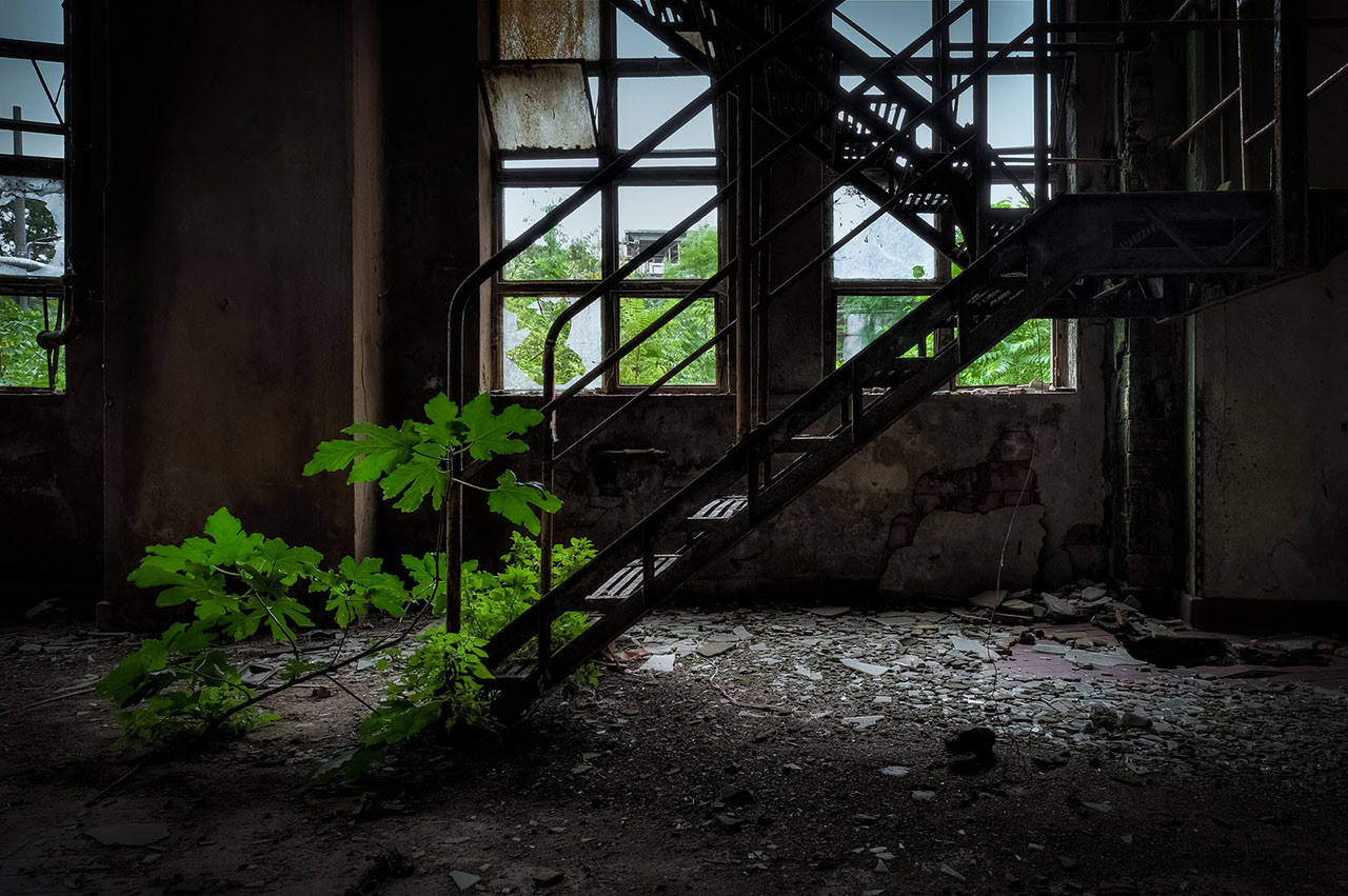 Germ in Hall - saison 2
