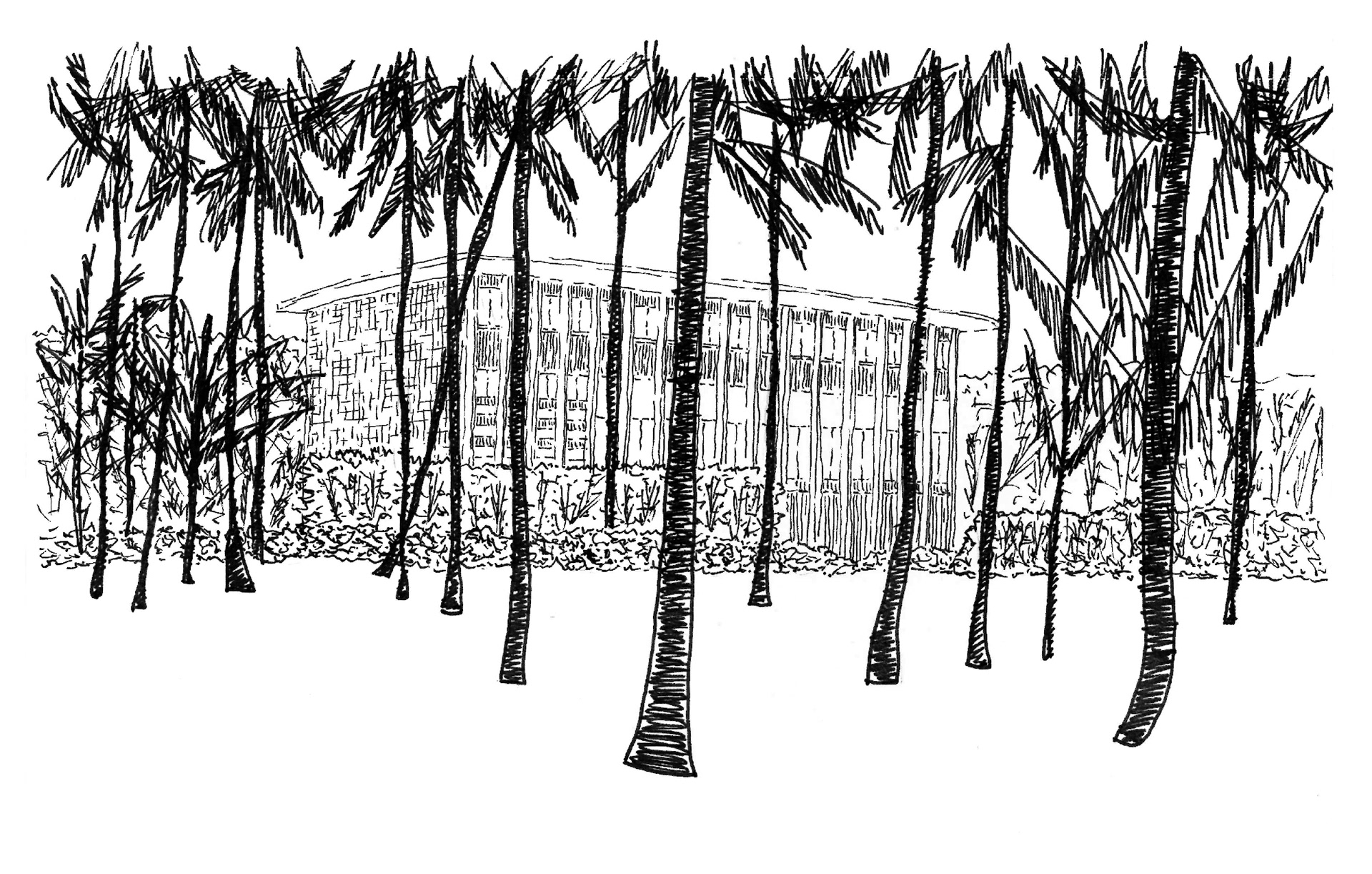 Ambassade de France à Cotonou (Bénin) - Henri Chomette - 1960