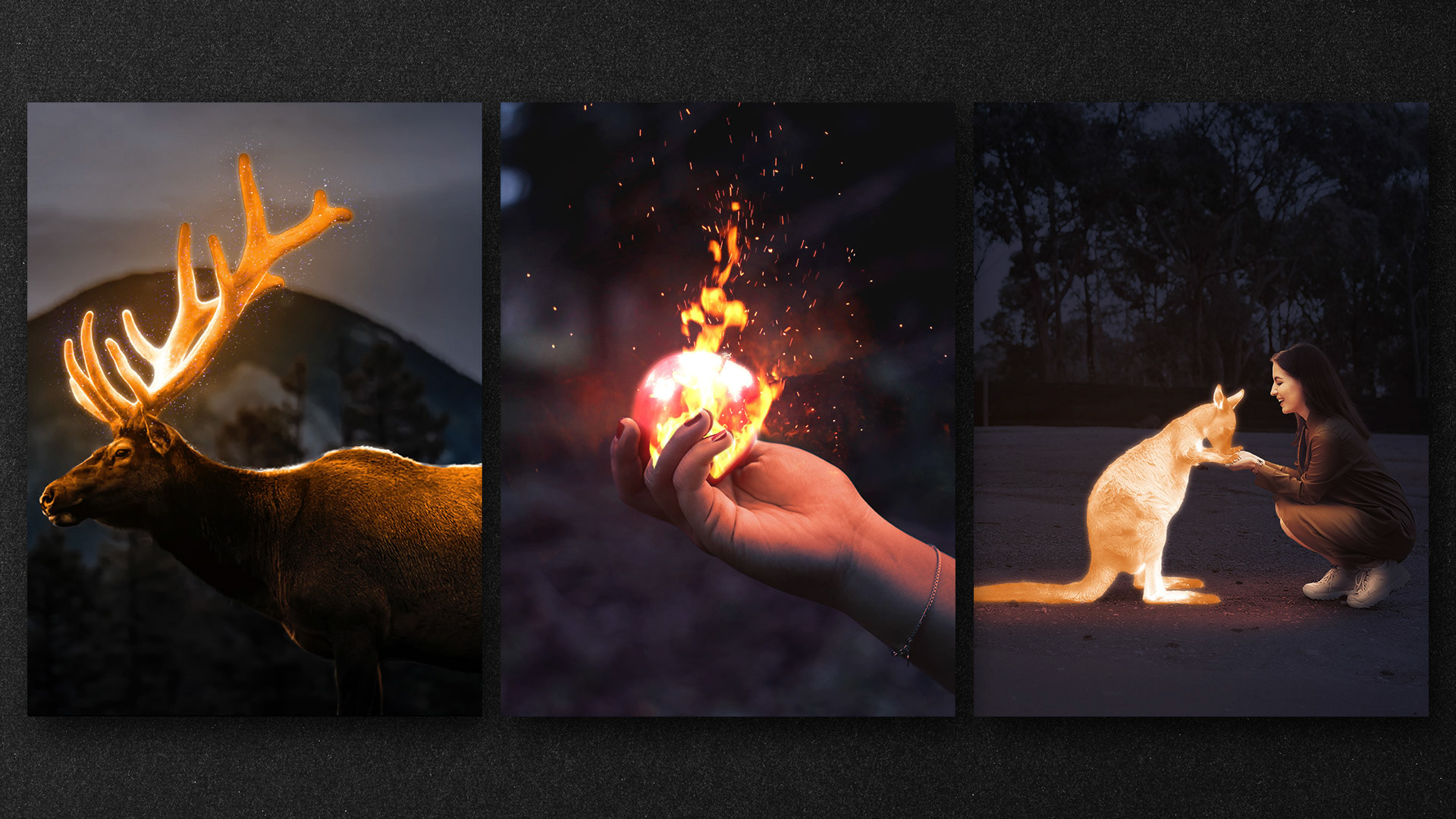 Composicion en Photoshop, animales en luz