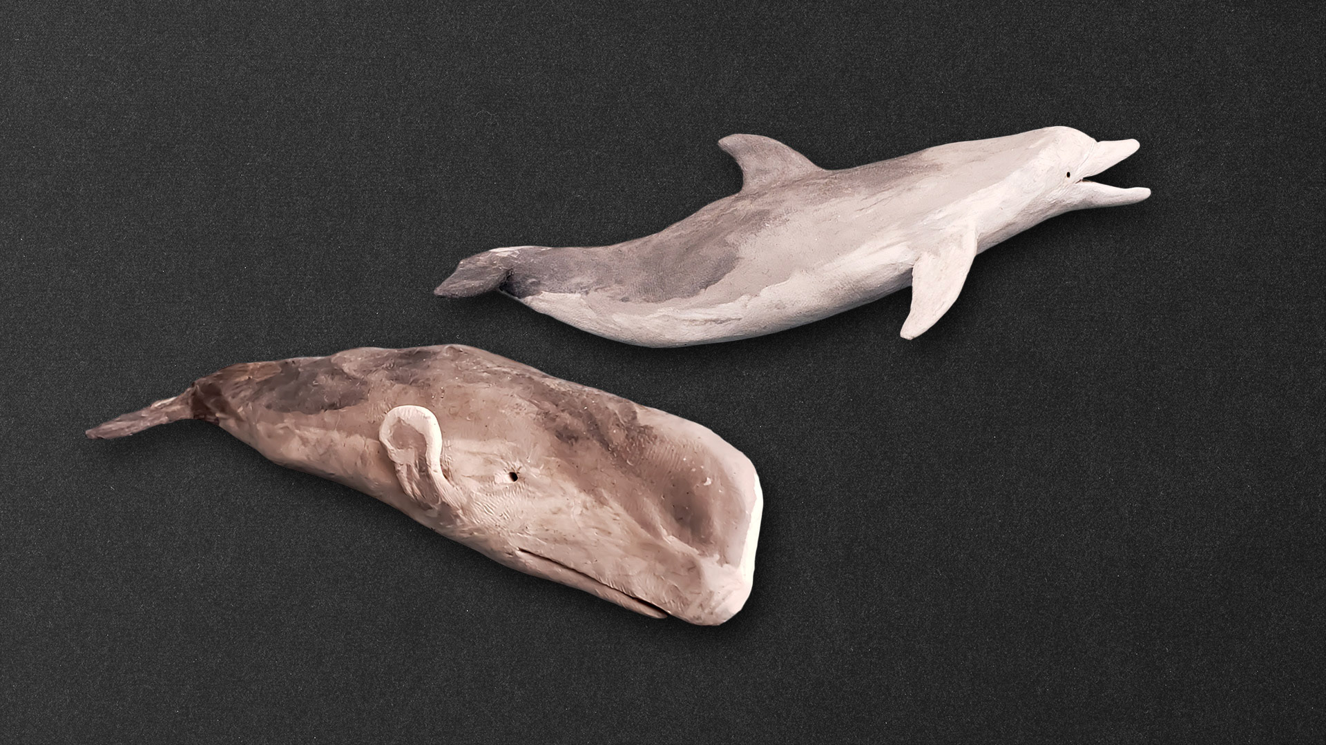 Cetáceos (plastilina)