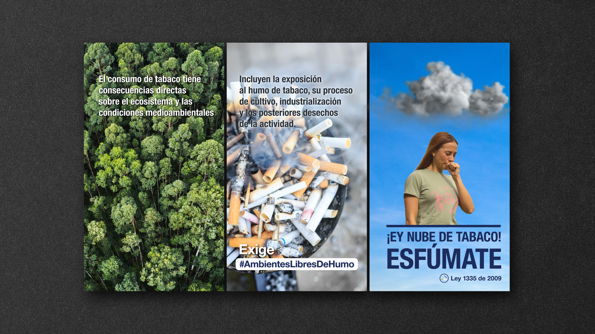 RedPapaz - Espacios Libres de Humo (historia)