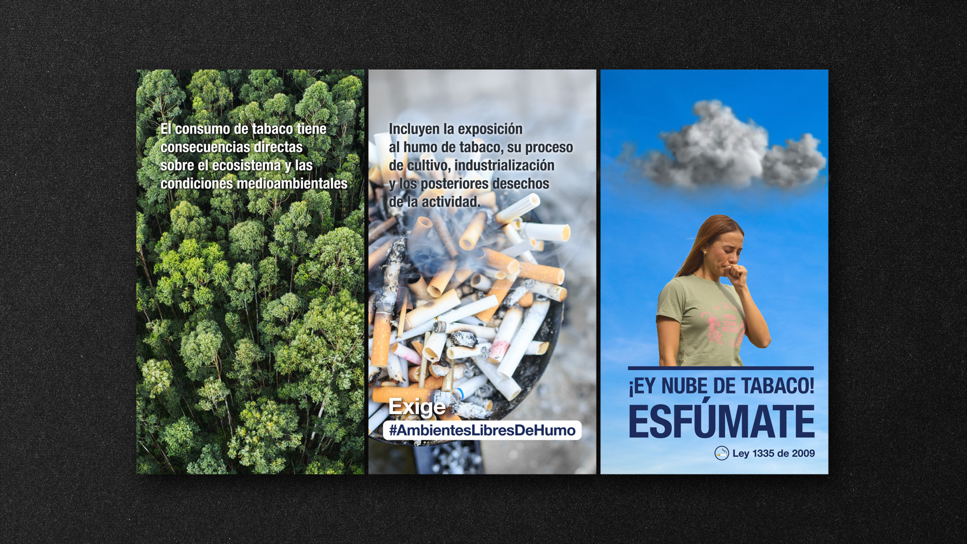 Campaña Ambientes Libres De Humo, Historia