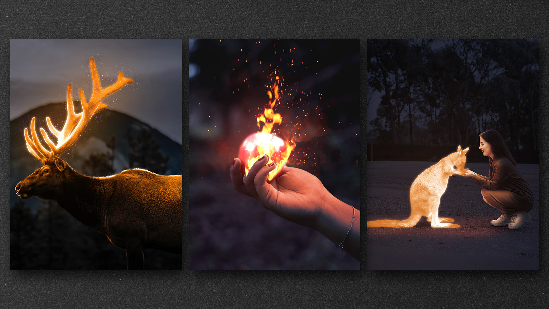 Animal fire (composición digial)