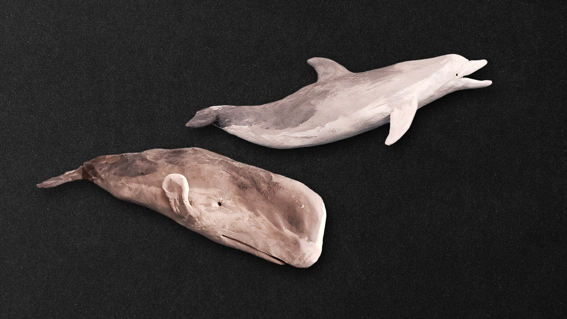 Delfin y cachalore en plastilina