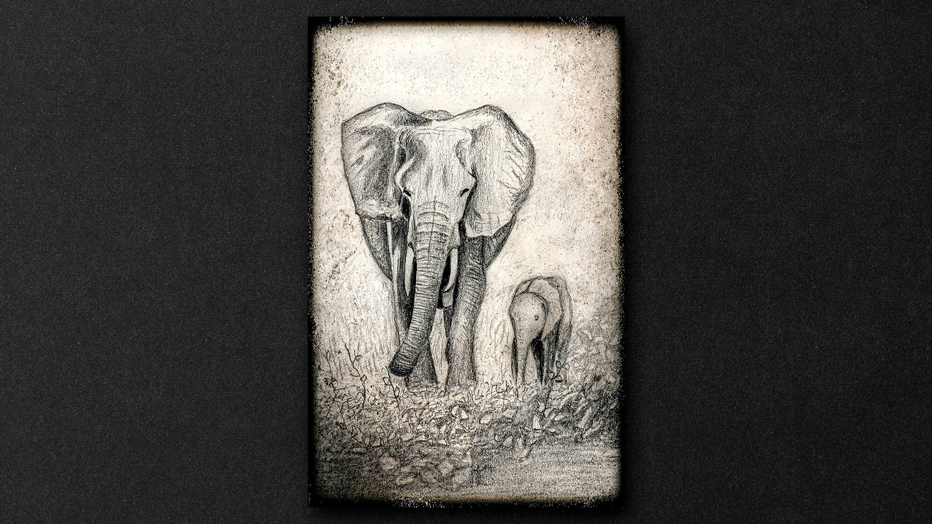 Elefente con su cría (dibujo a lápiz/digital)