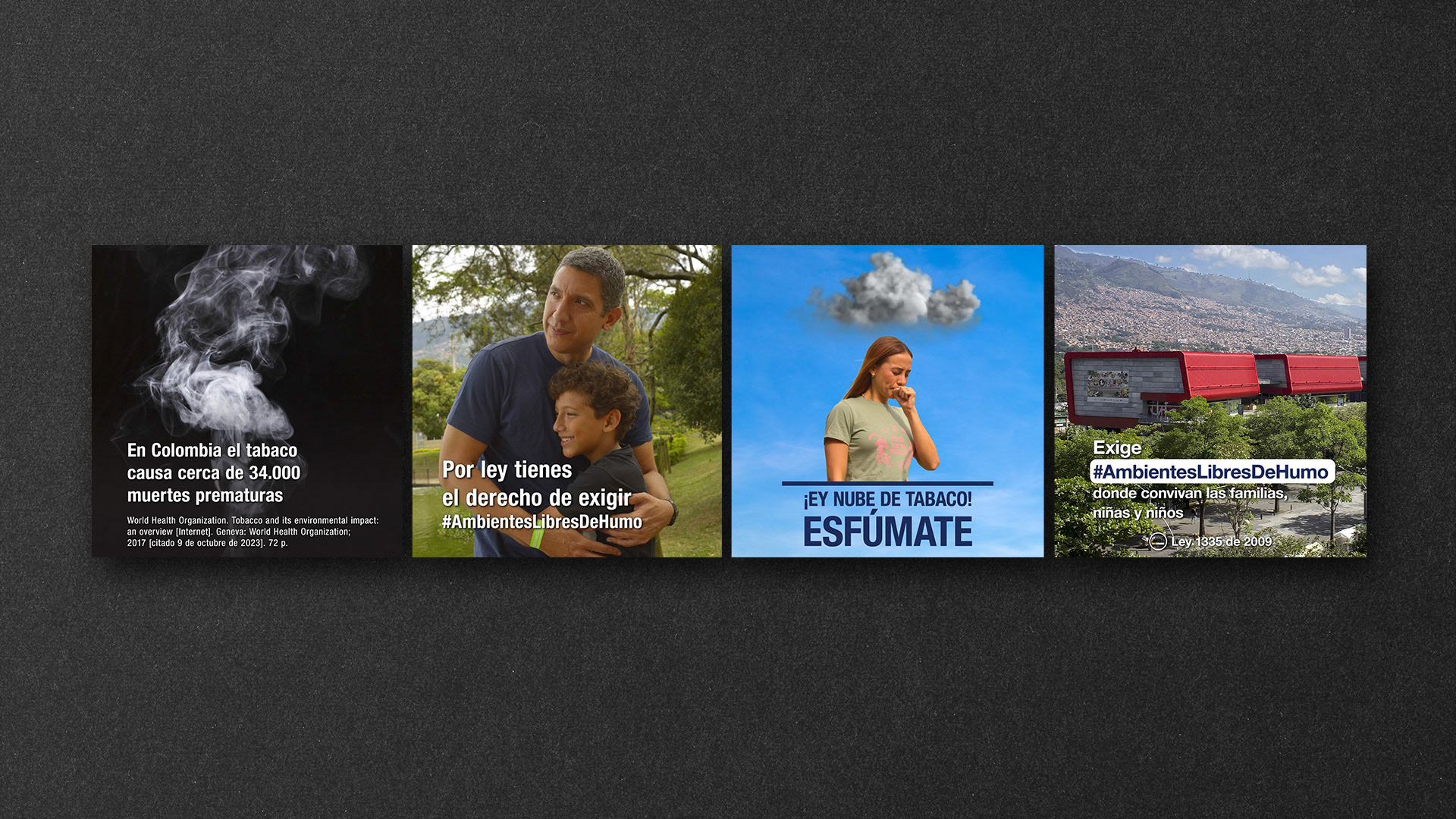 RedPapaz - Espacios Libres de Humo (carrusel)