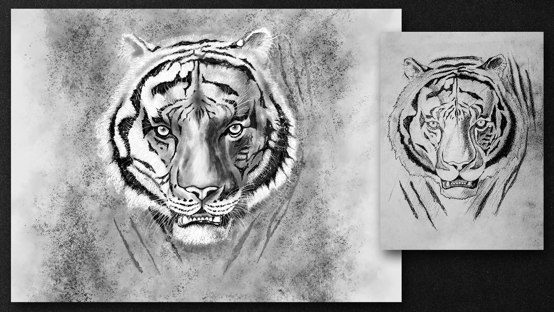 Tigre, dibujo a lapiz/digital