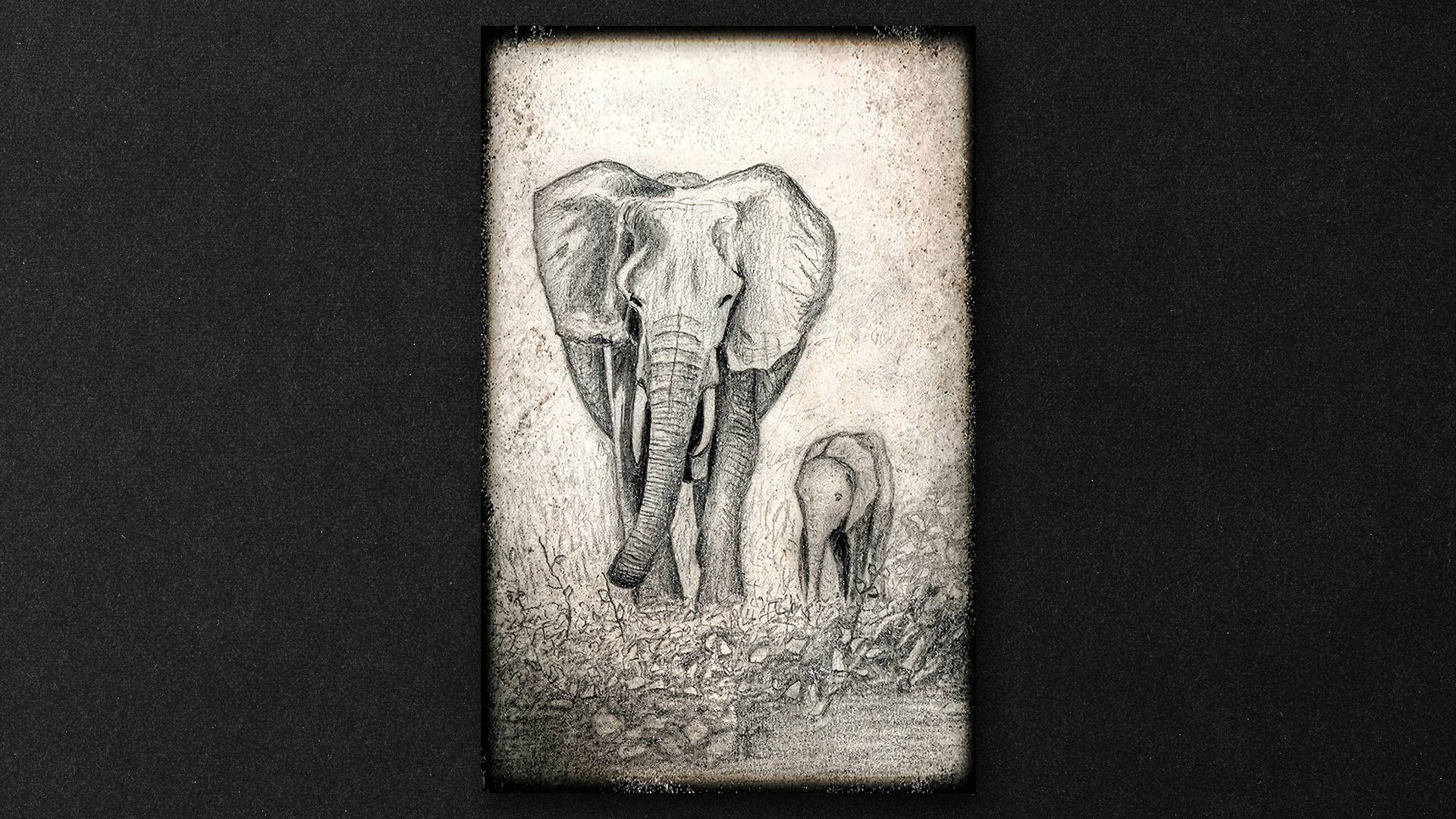 Elefante y su cria, dibujo digital