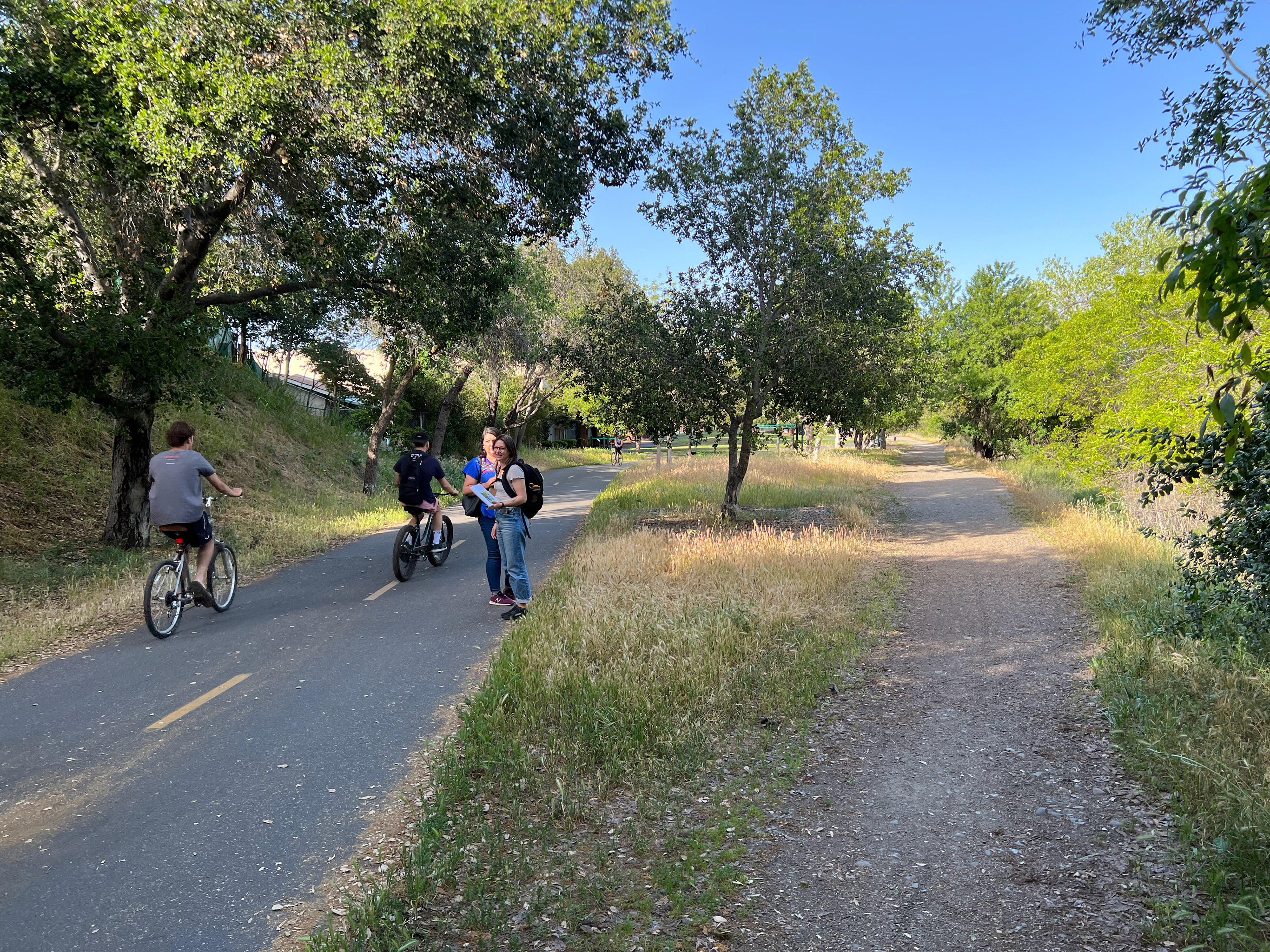 Enhance Los Gatos Creek frontage.