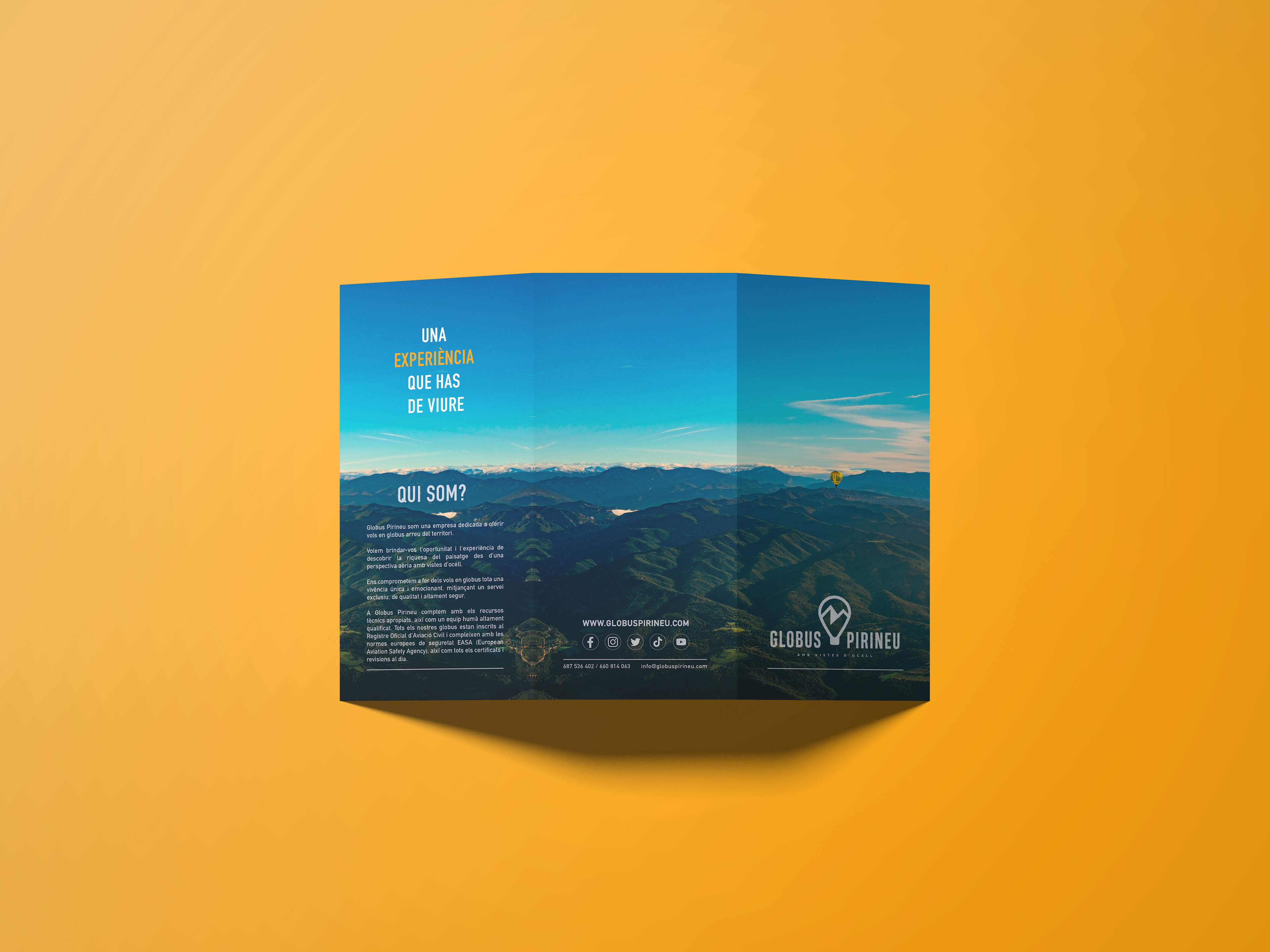 brochure
