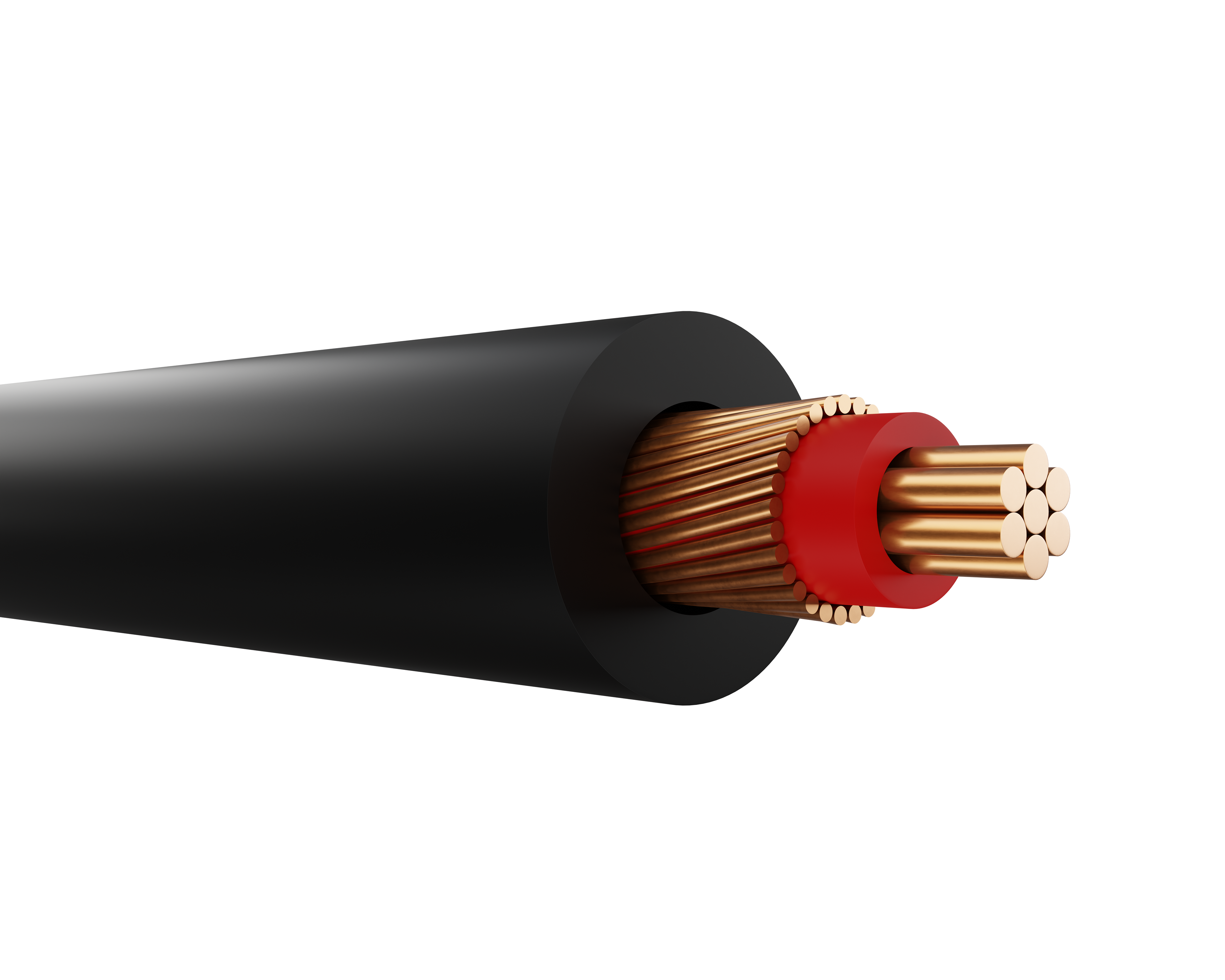 3D Render (Side)