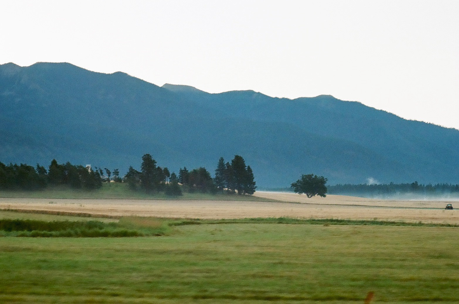 Whitefish, Montana [Film]