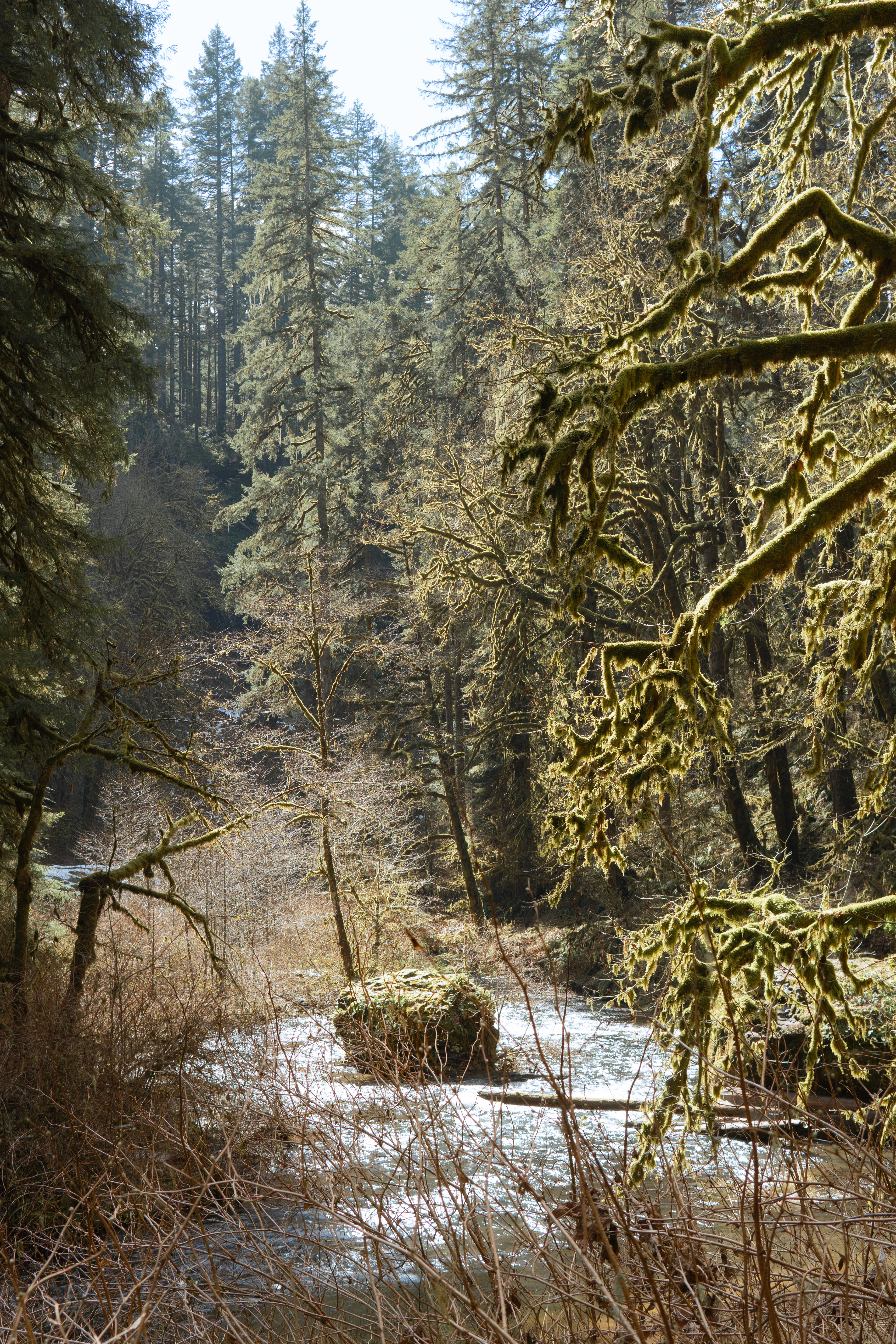 Trail of Ten Falls, OR