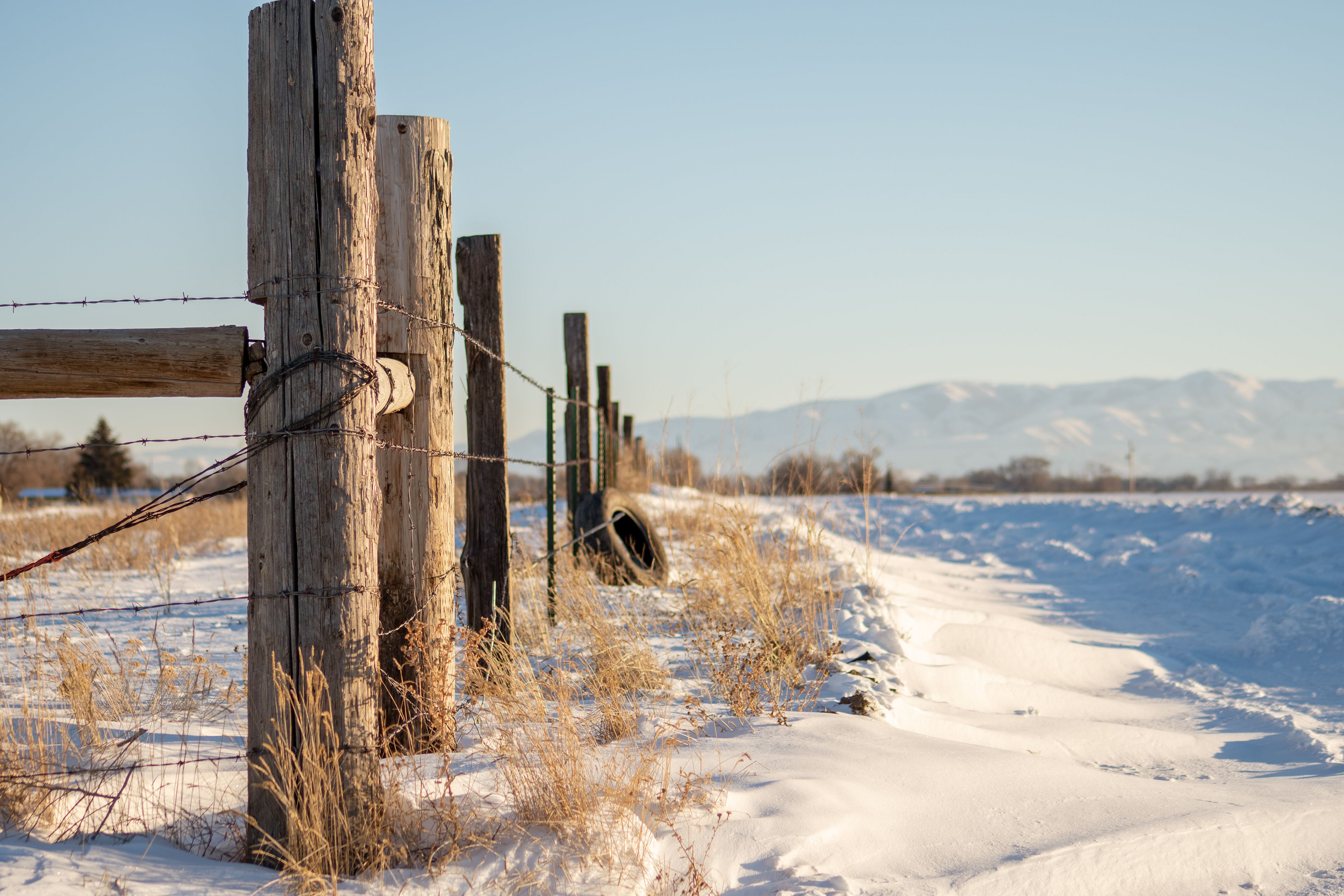 Fort Hall, ID