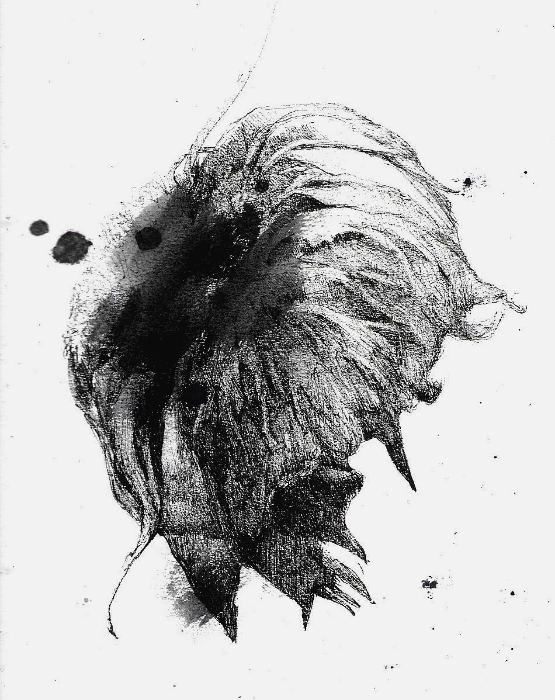 pen sketch 