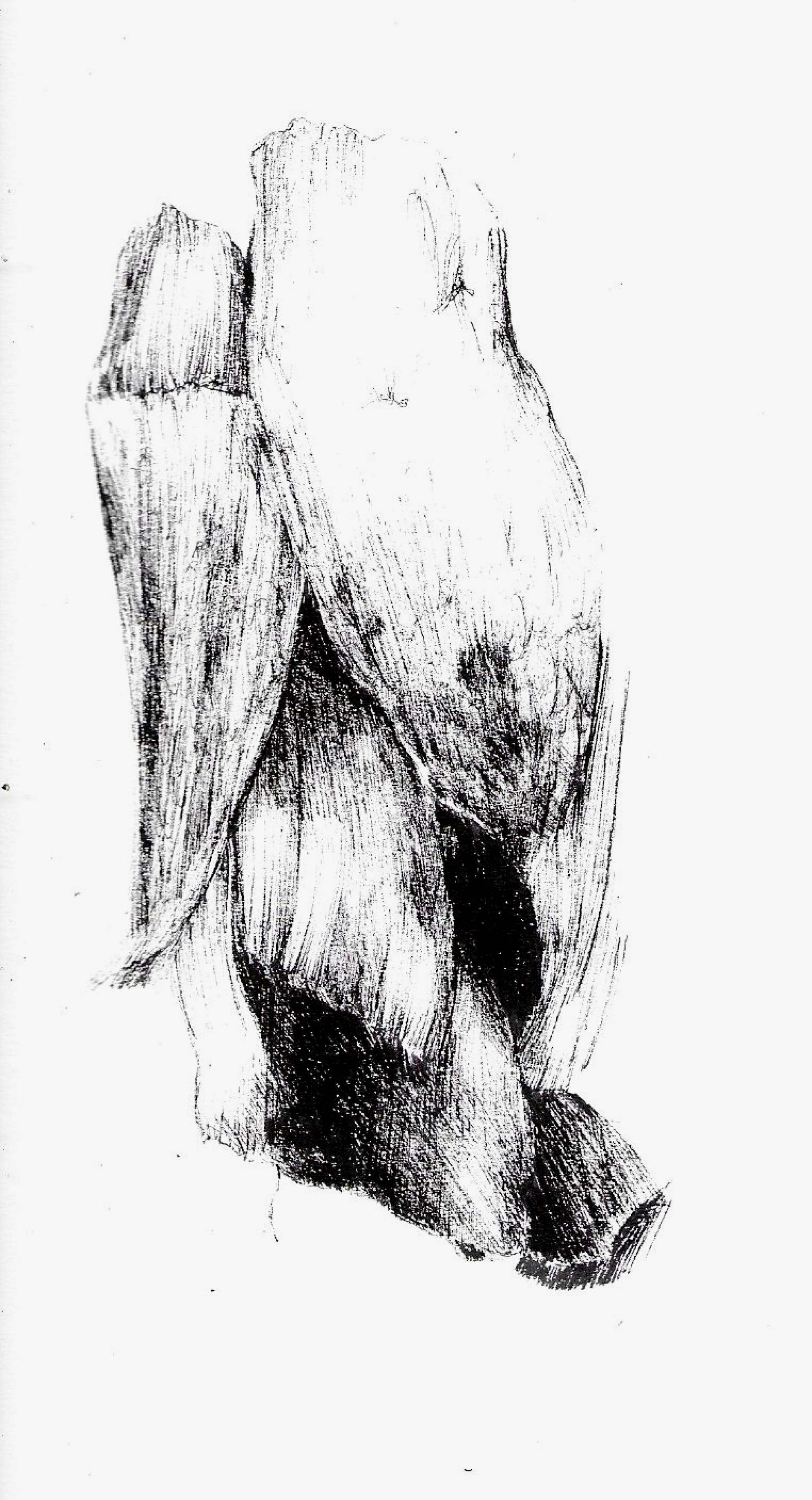 pen sketch 