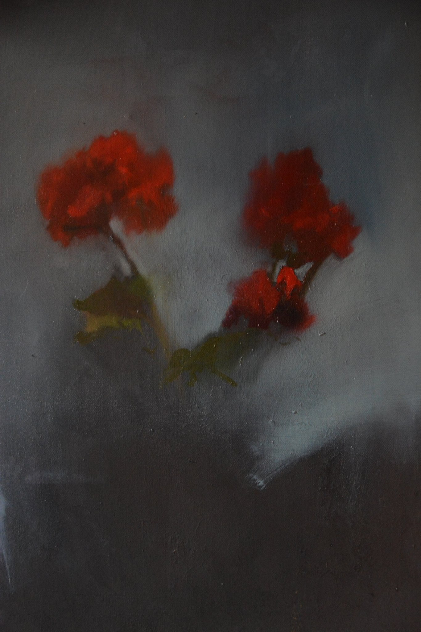 "Pelargonia" oil on canvas 100x70