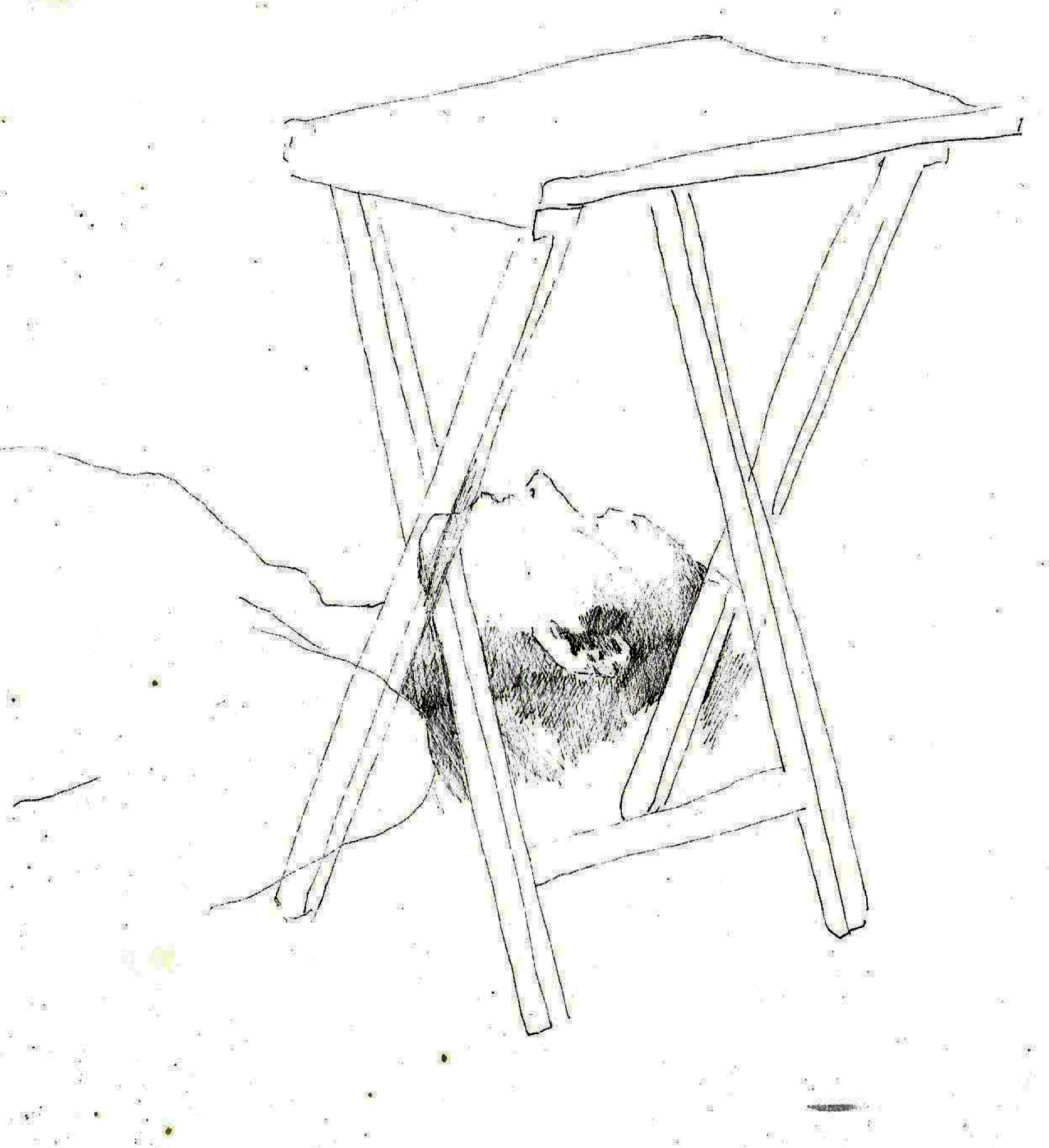 pen sketch