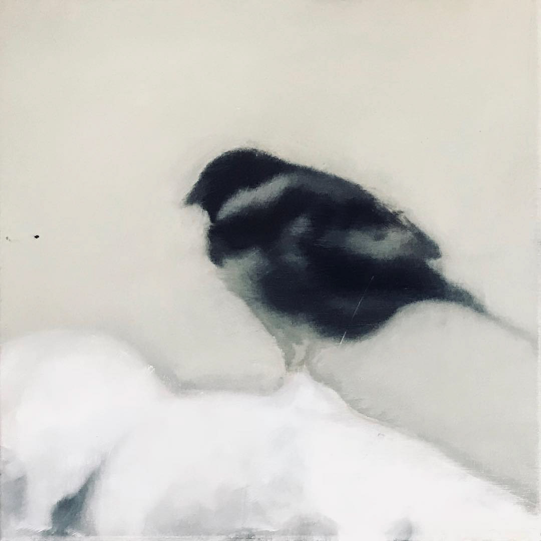 "the bird " oil on canvas 30x30
